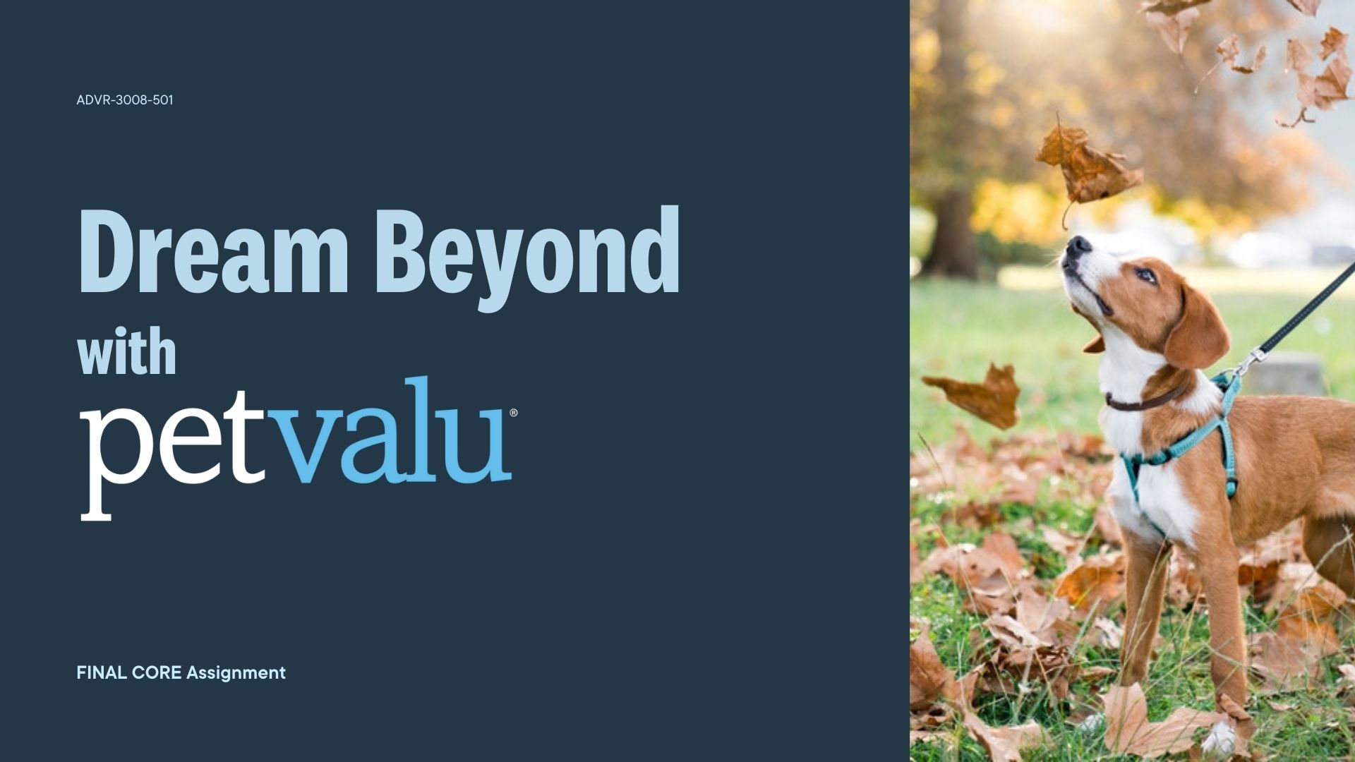 Dream Beyond with PetValu