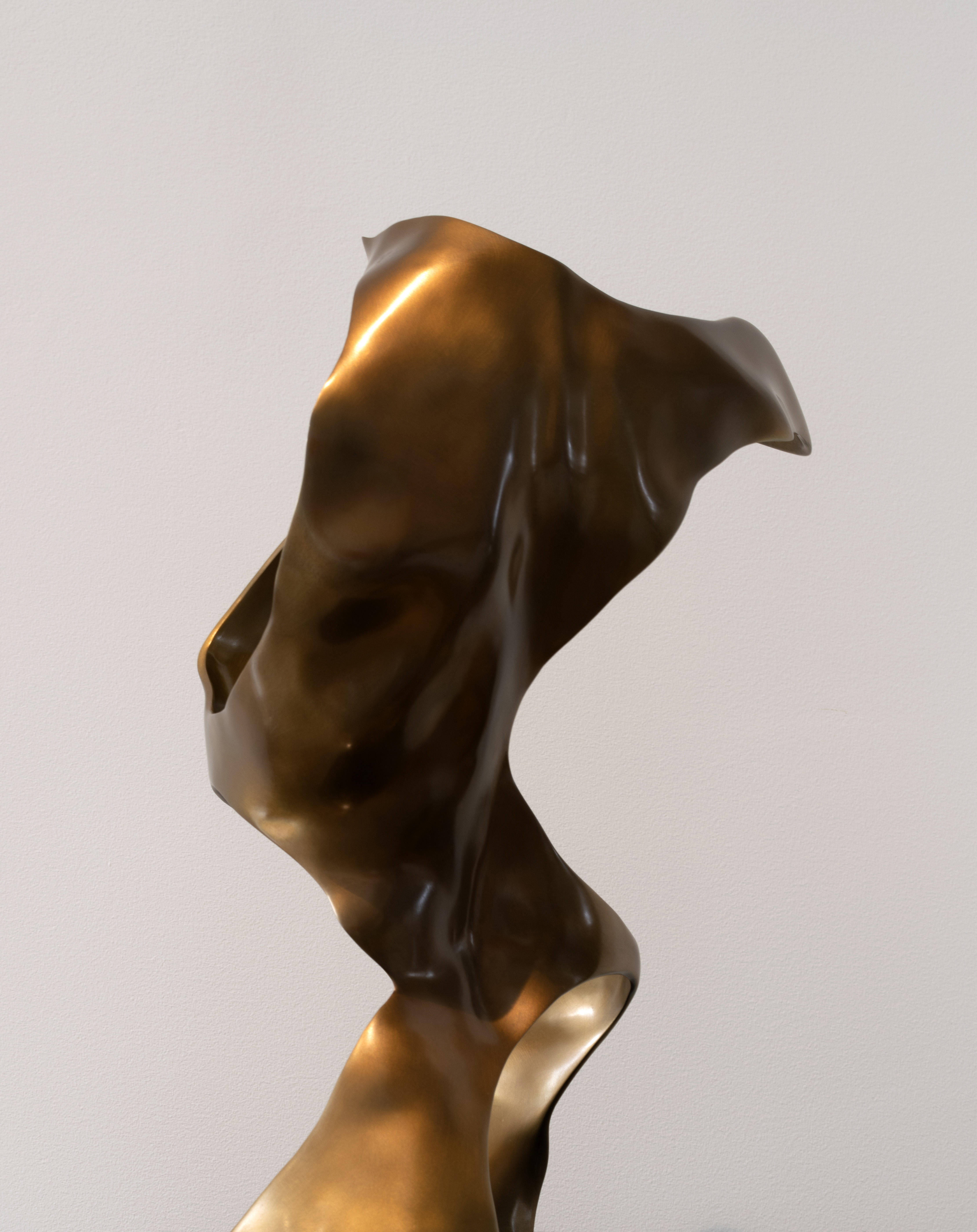 Male Torso Abstraction No. 4