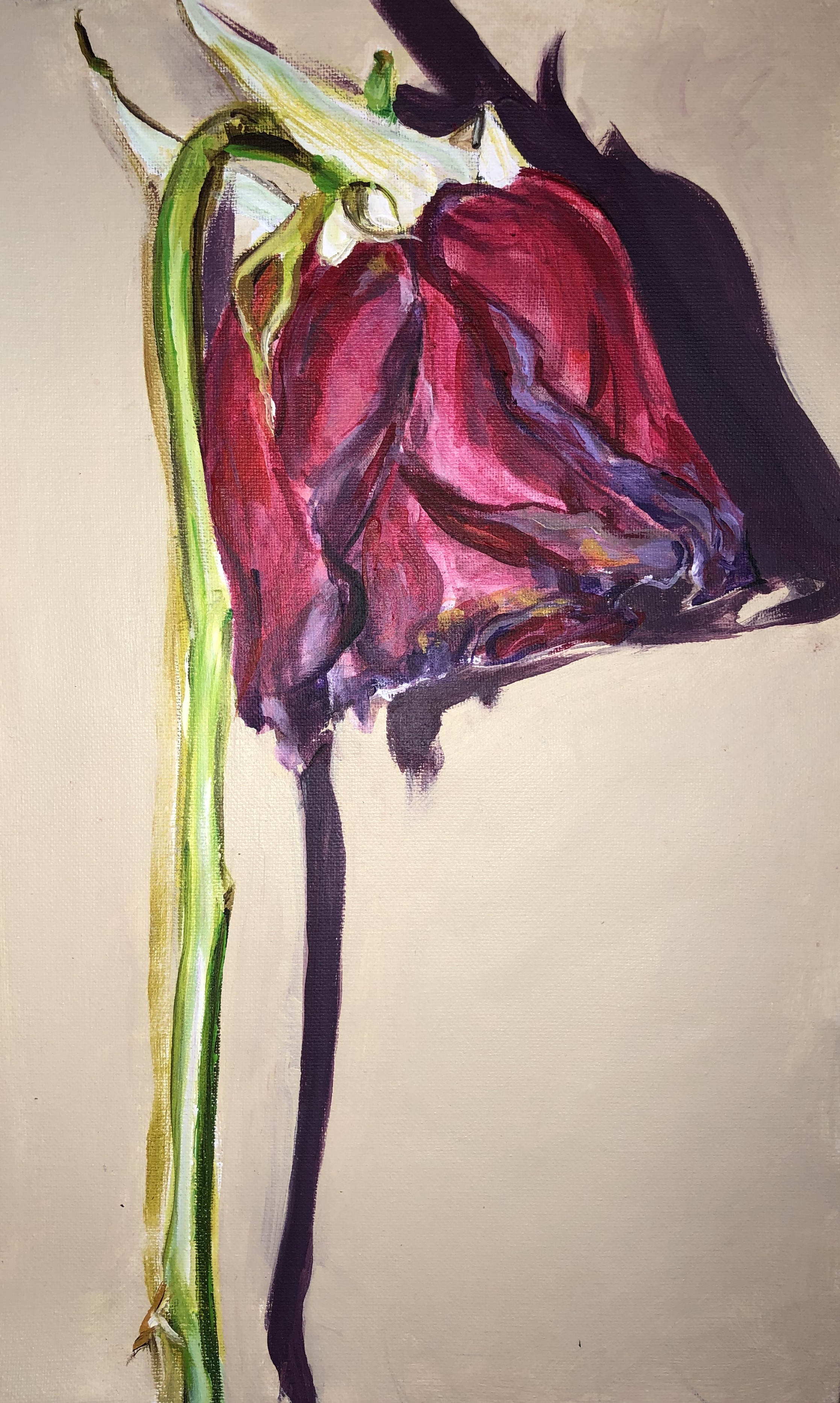 Degradation (series)