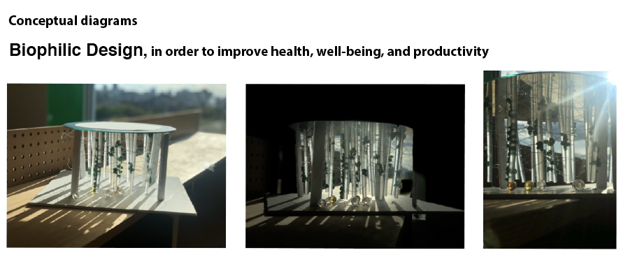 Health and wellness centre