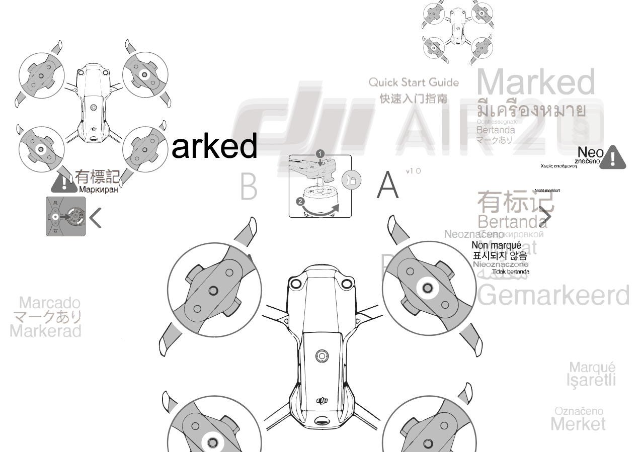 Reproducing Instruction