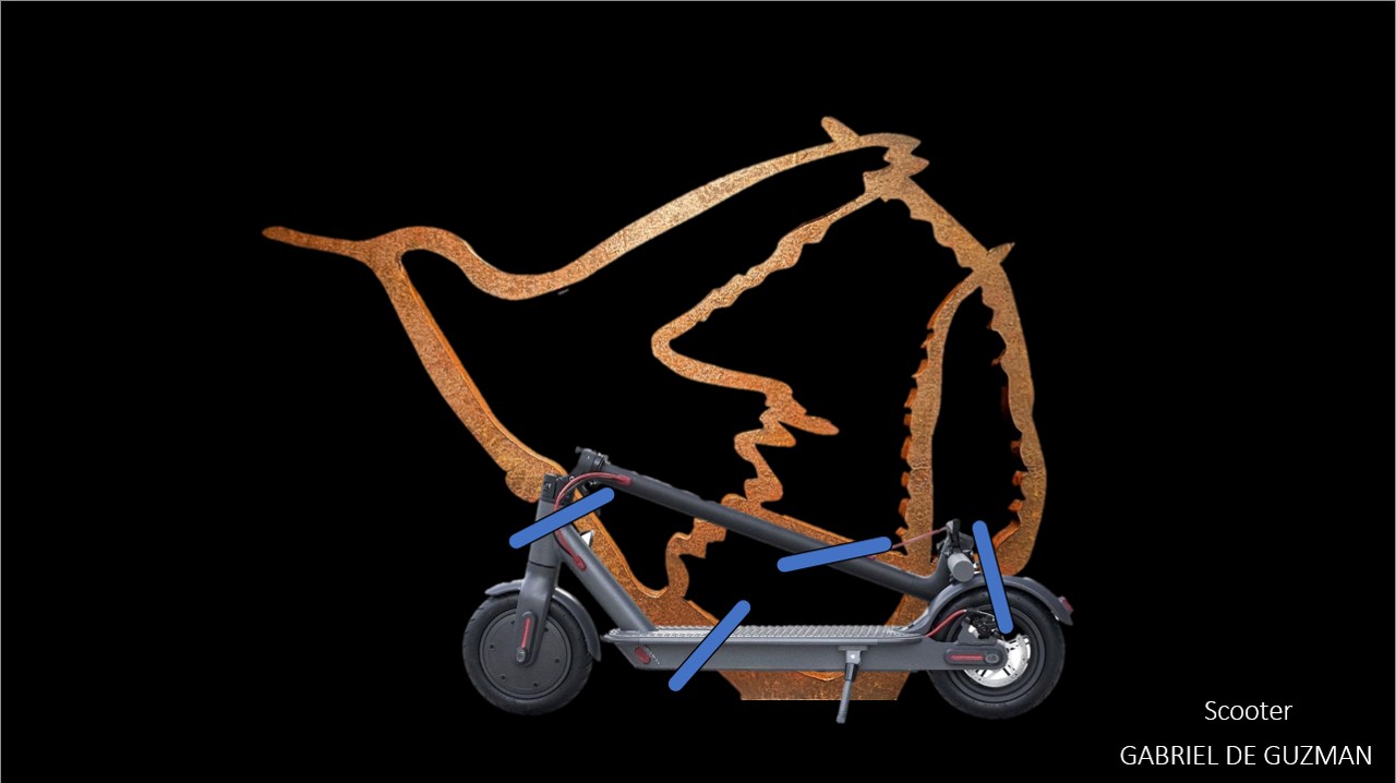 Streamertail Bike Ring