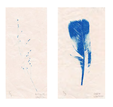 Ink and Light