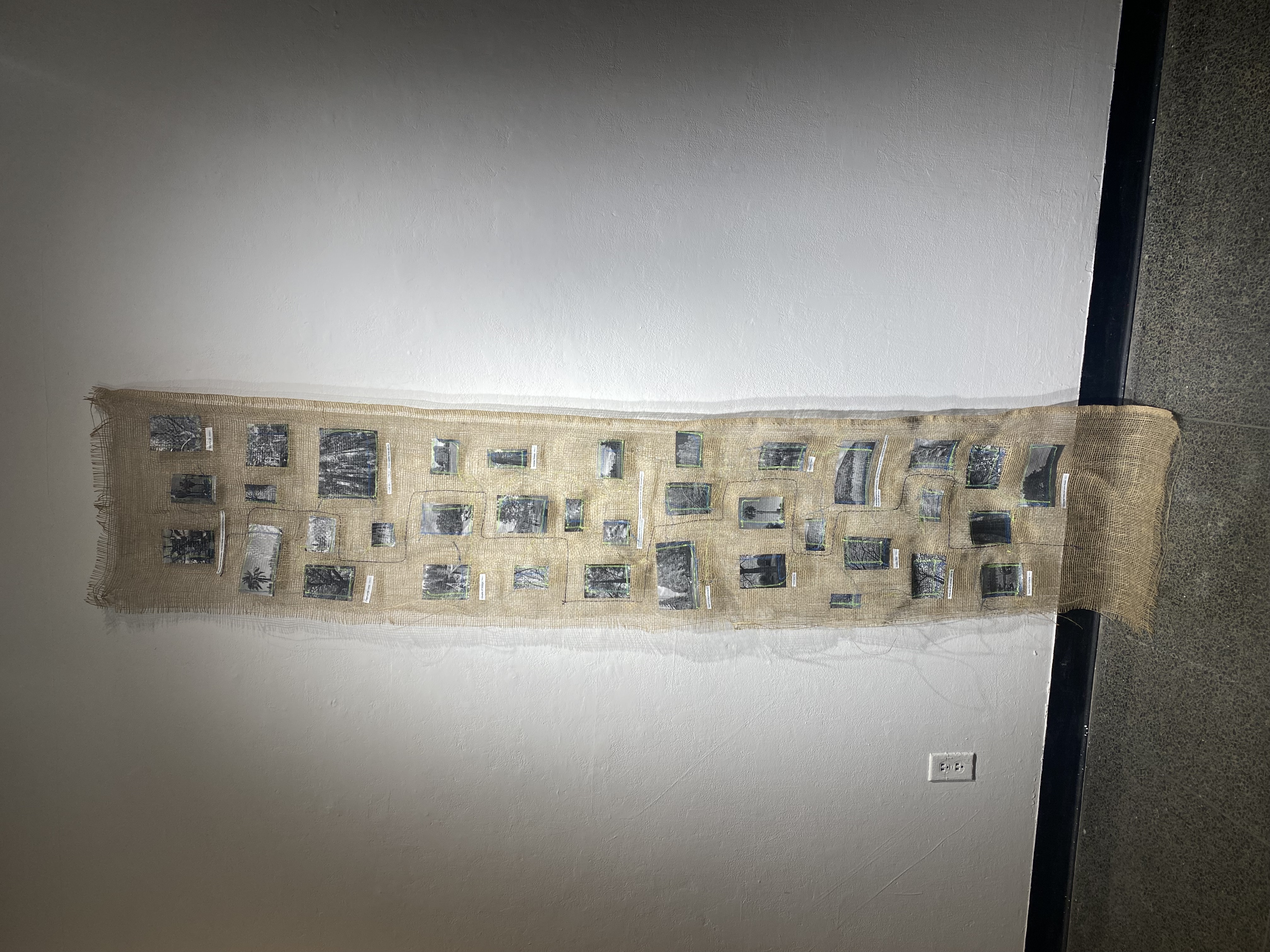 a moment with a tree