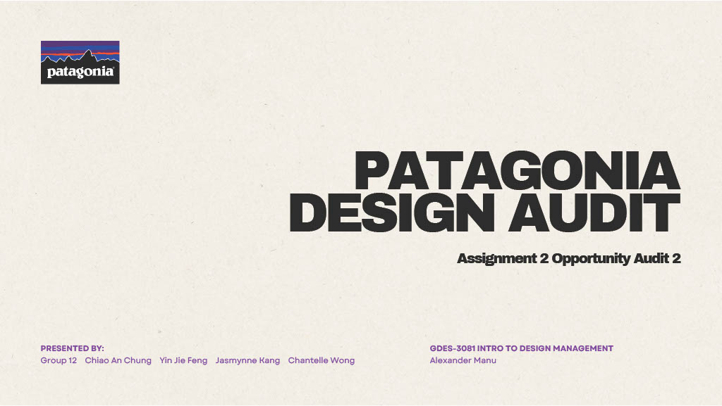 Patagonia Design Audit