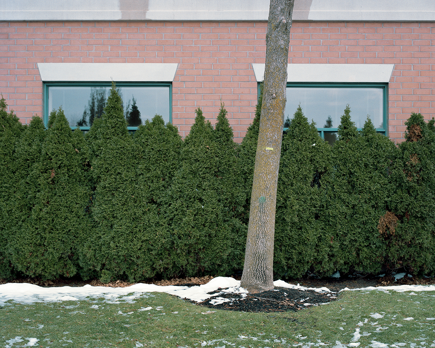 not today, not tomorrow