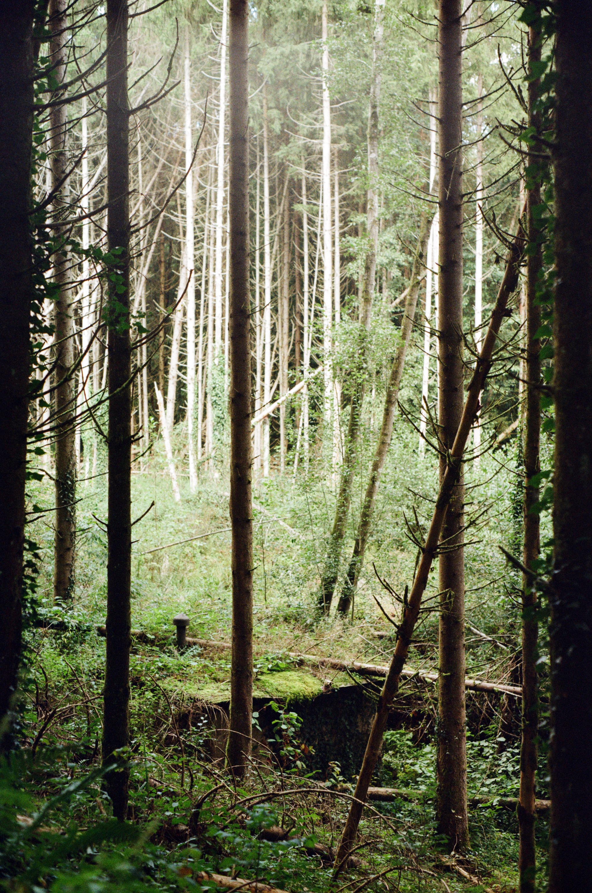 Dérives or How a fragility was overcome (but not in this book)