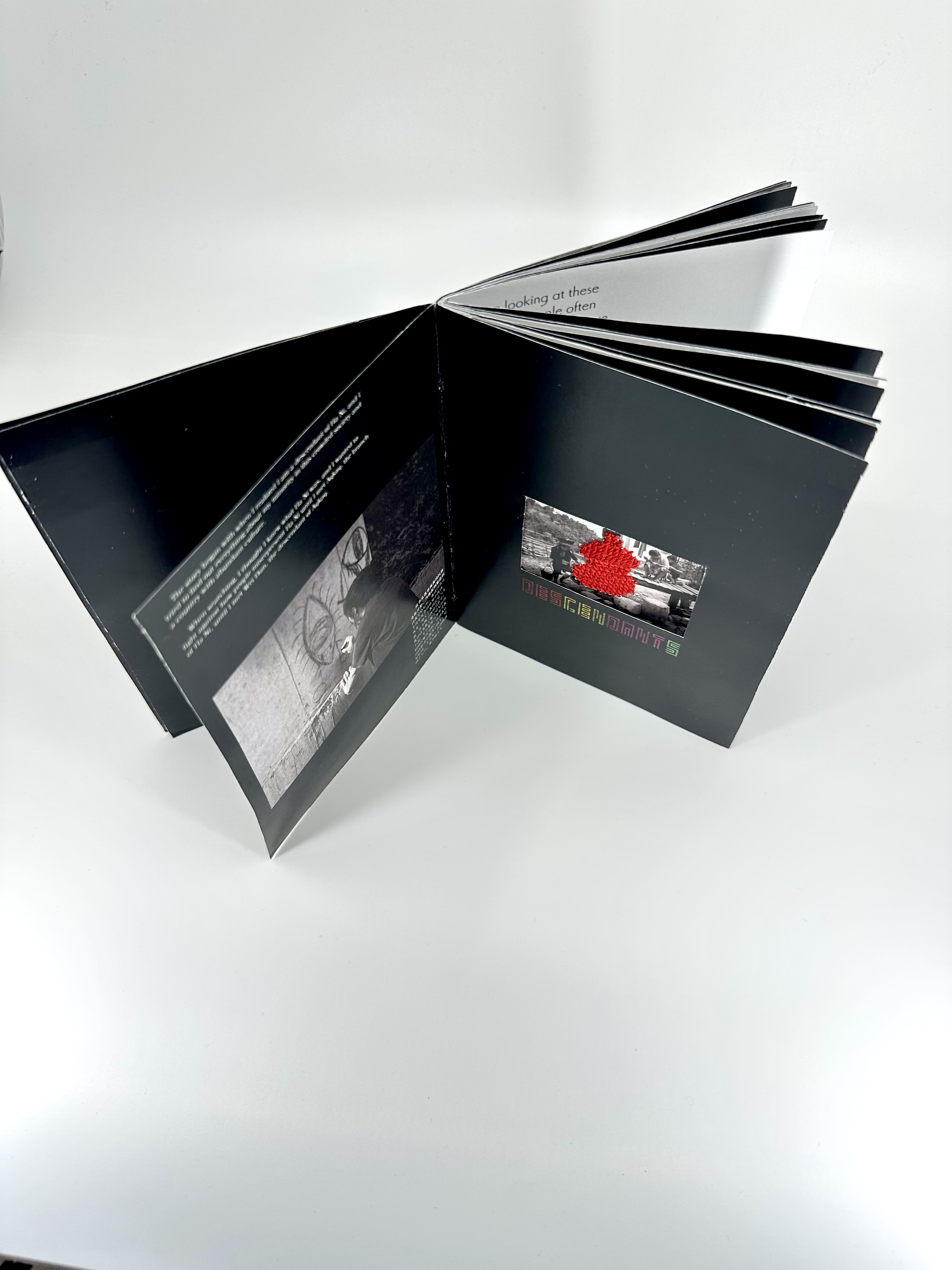 Embroidery——From Ha Ni to Aqkaq