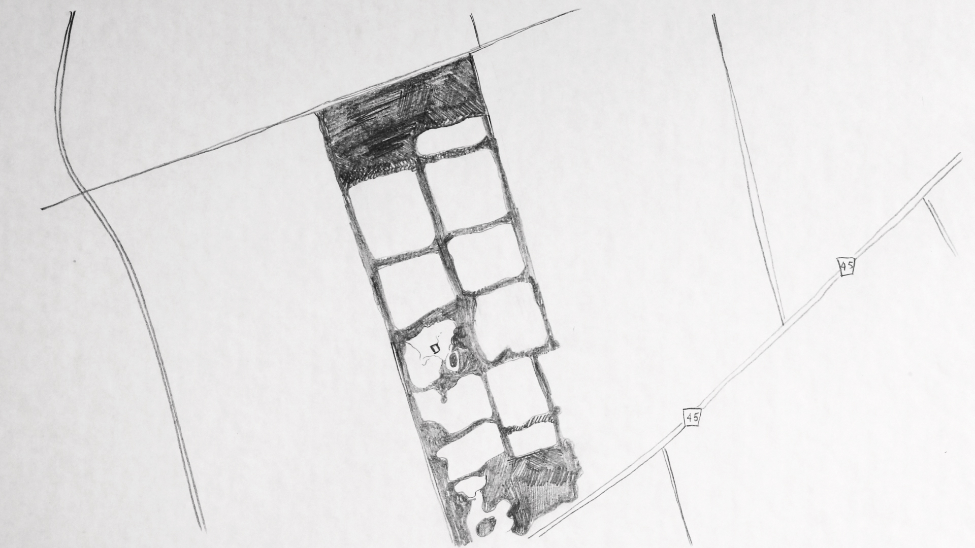 What does a garden know?