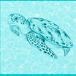 Illustrations for Fun