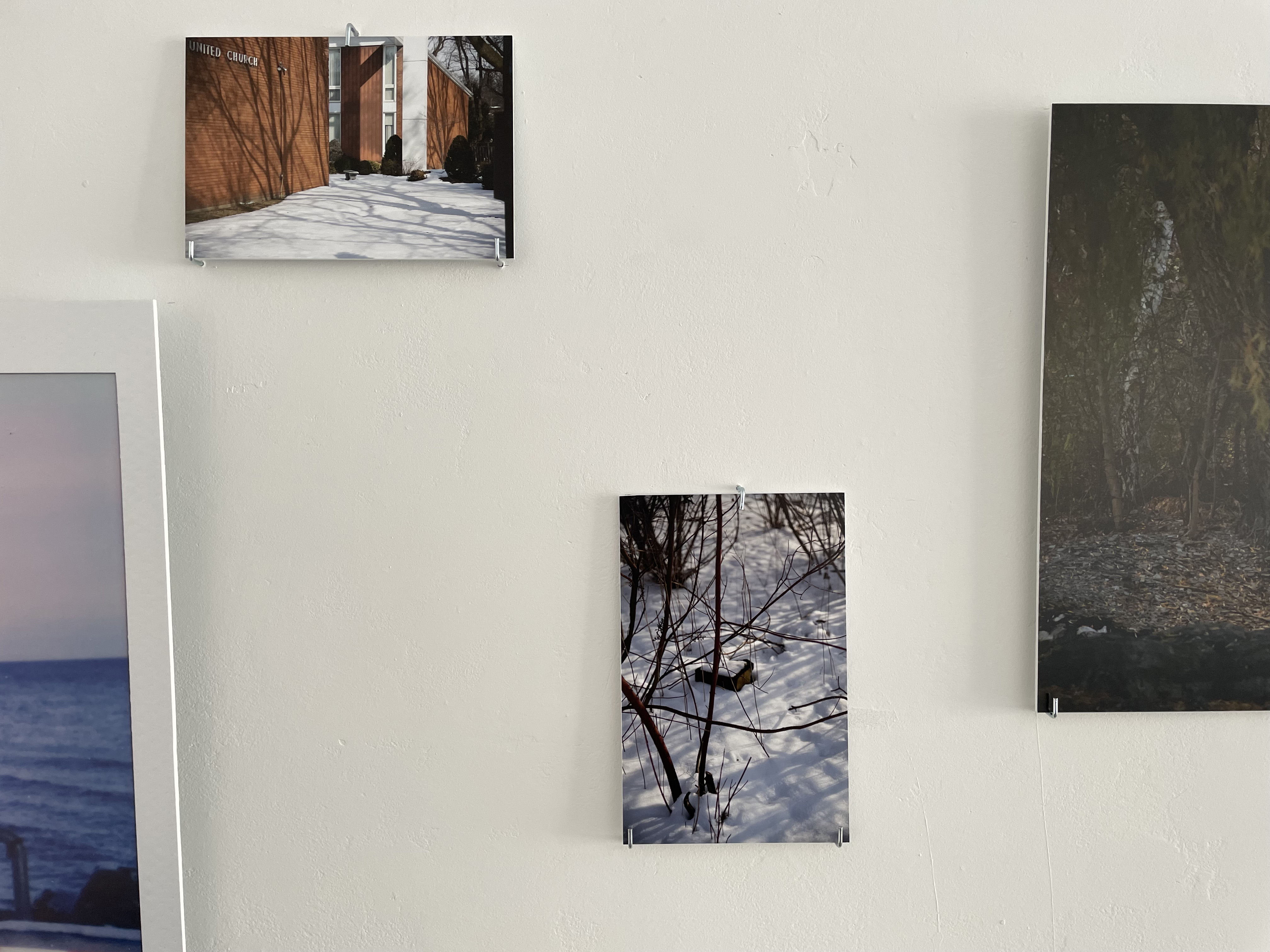 Where We Used to Walk - Installation