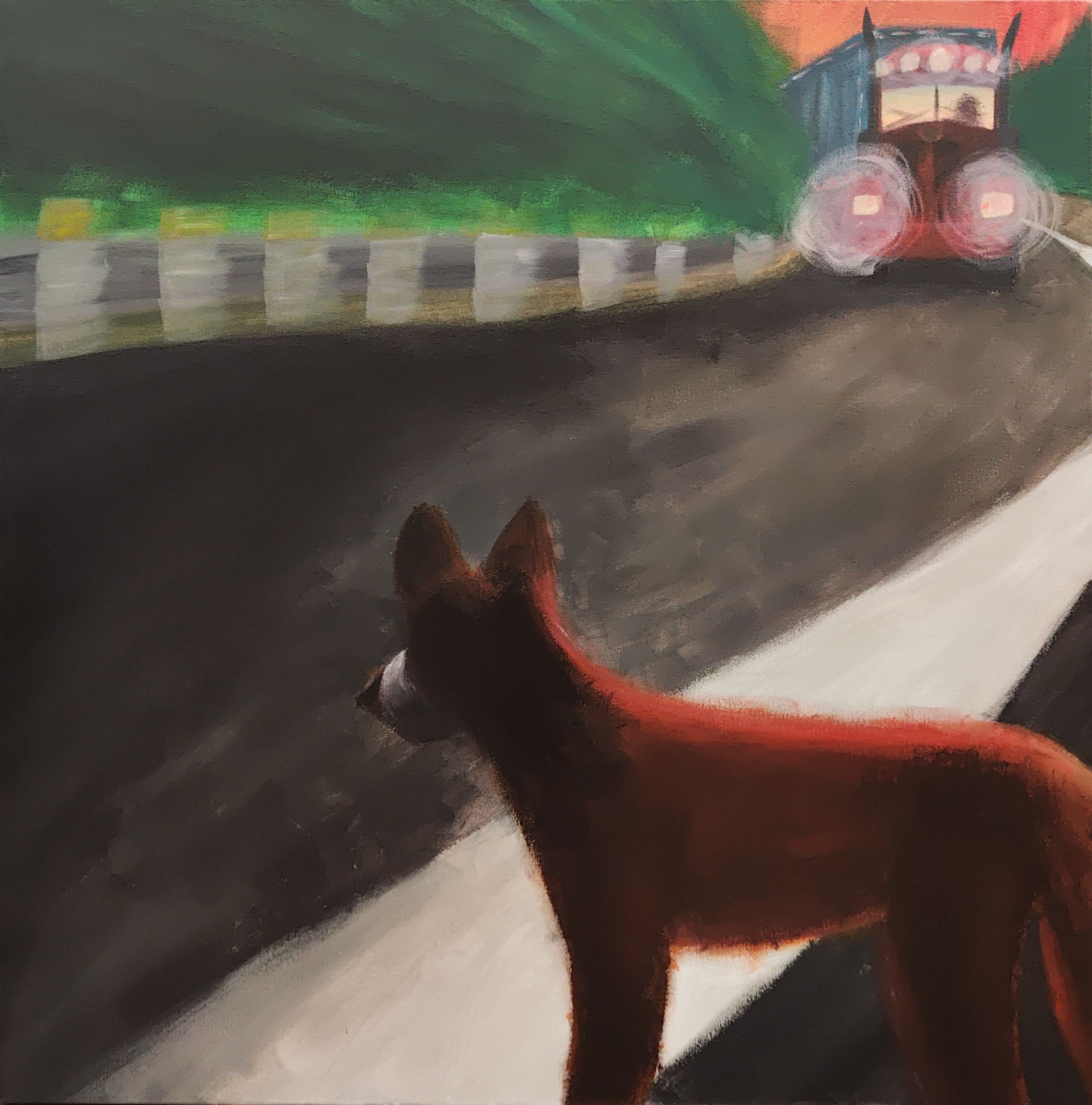 Roadkill