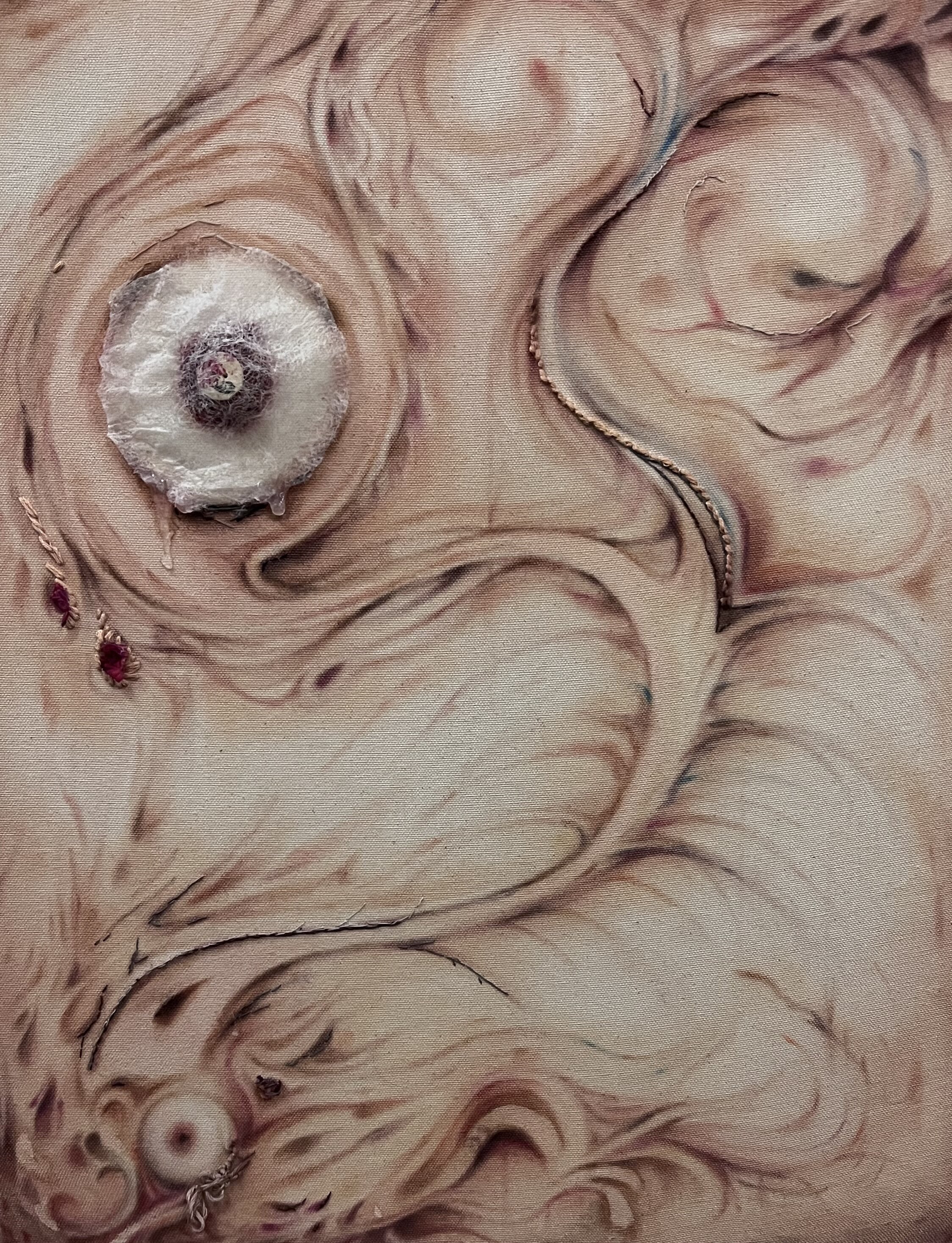 centipedes wispy hair