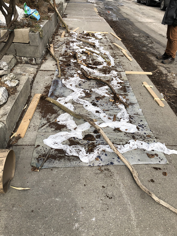 For Alice - cyanotype process