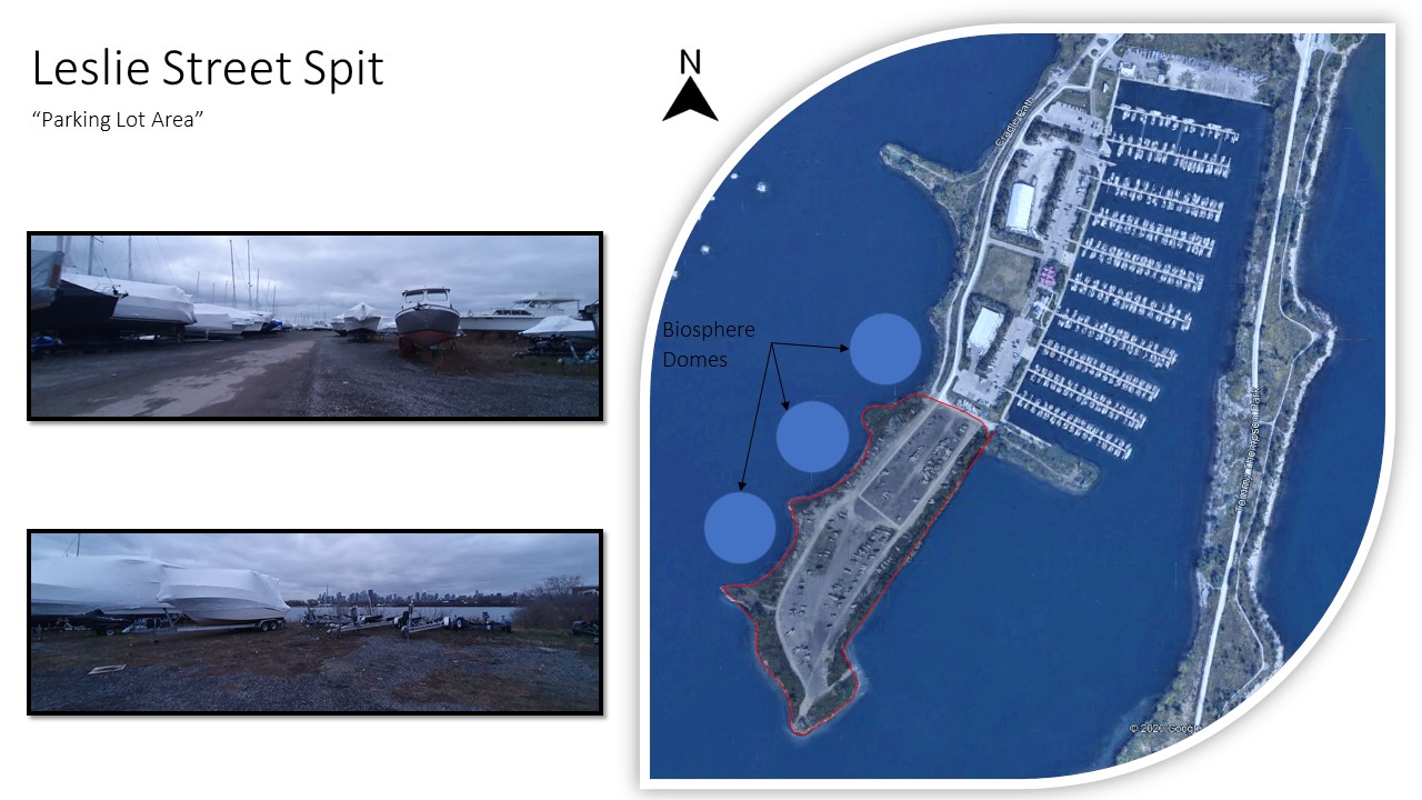 Toronto's Floating Gardens