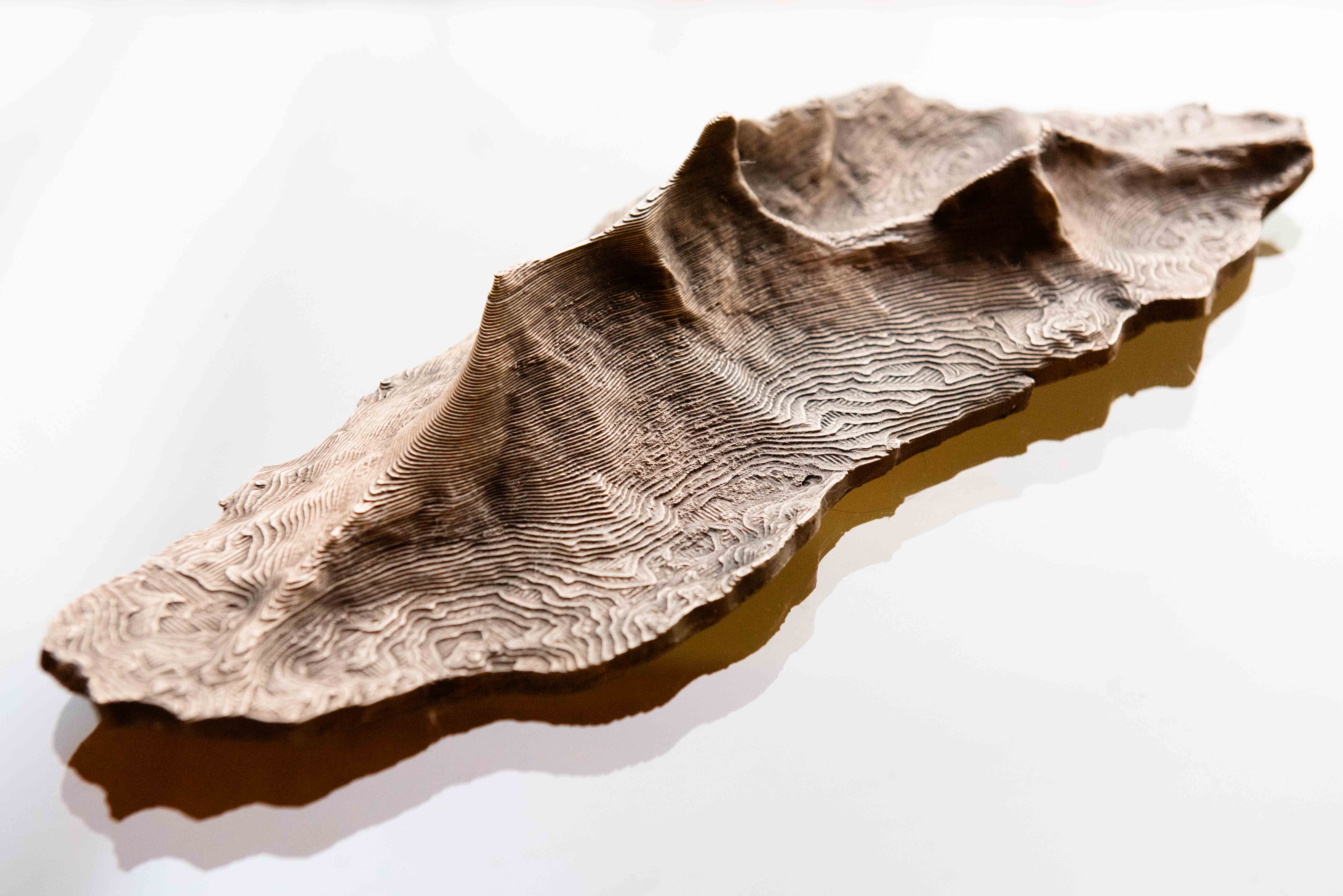 Where I come from #4