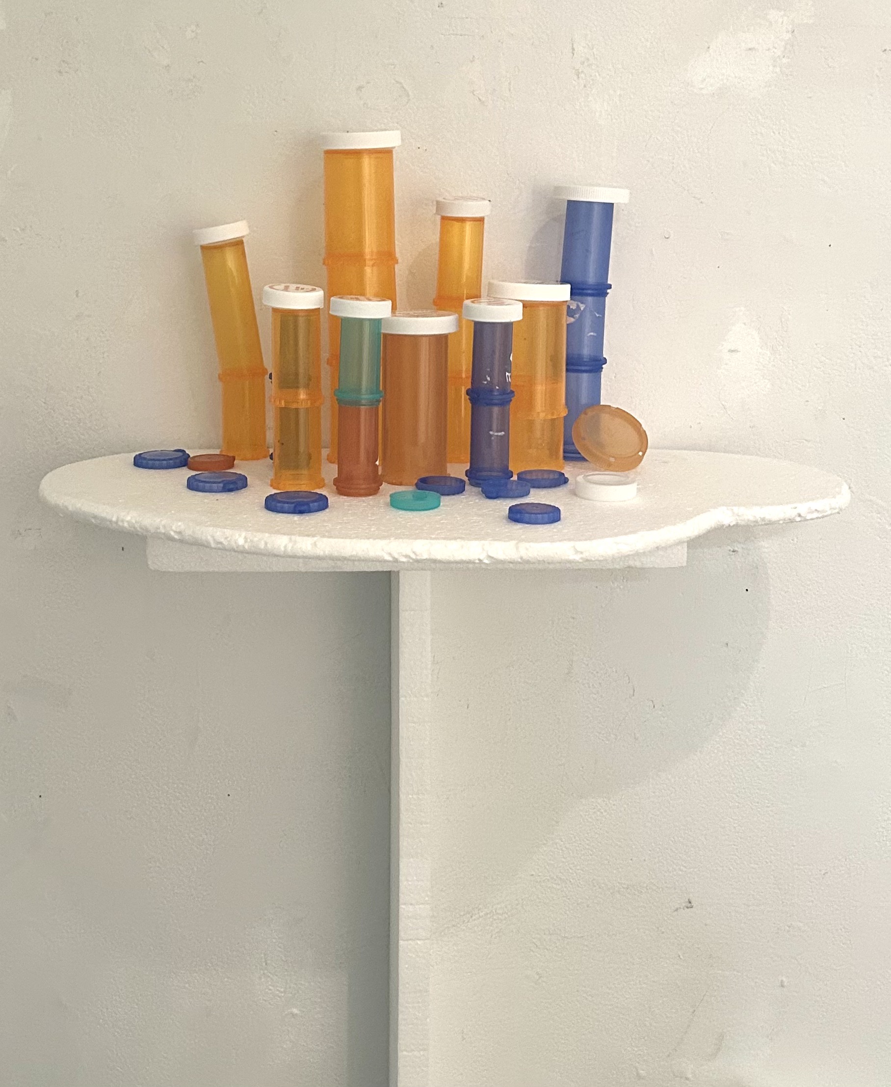 Pachycerianthus remedium