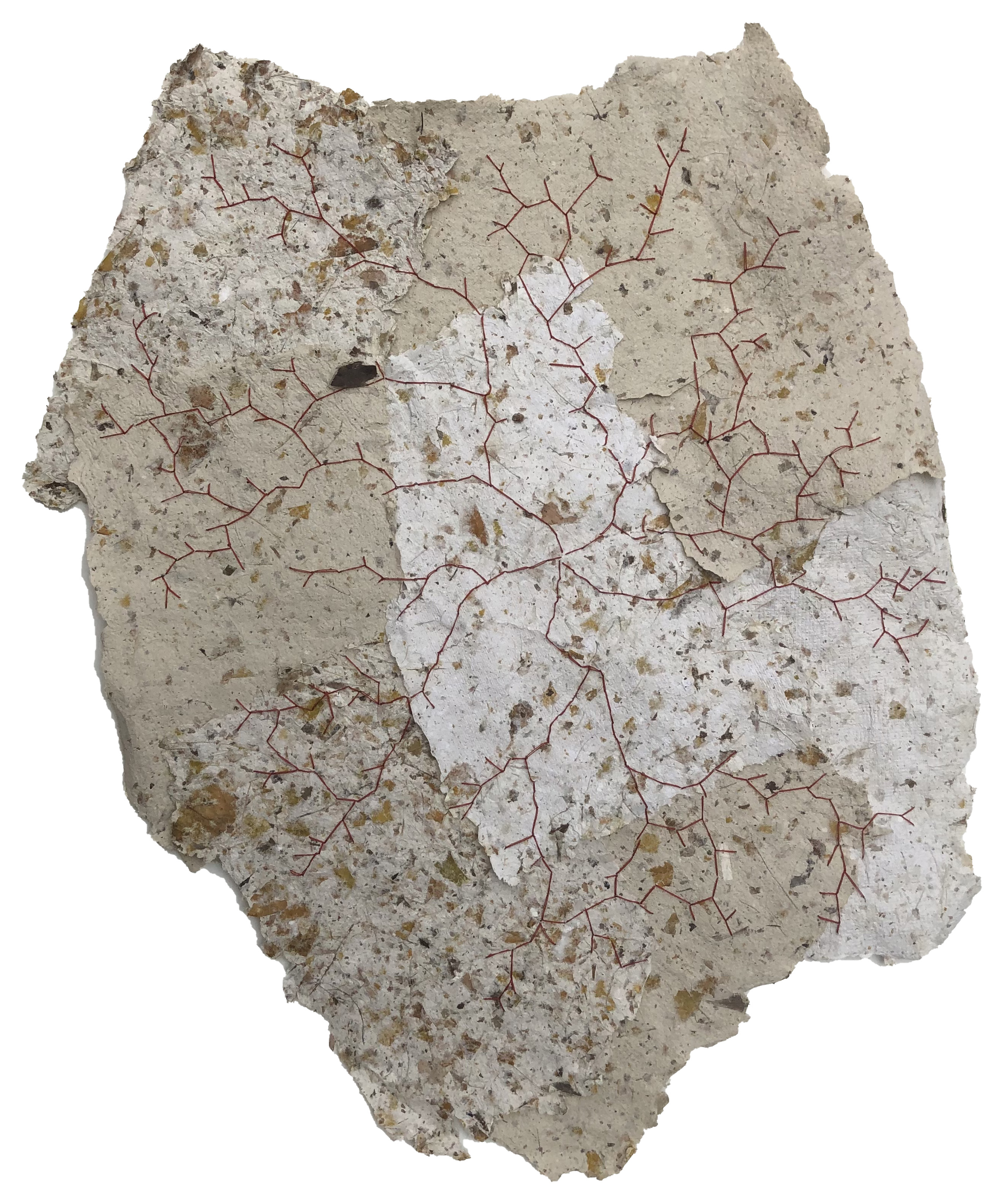 making with/becoming with