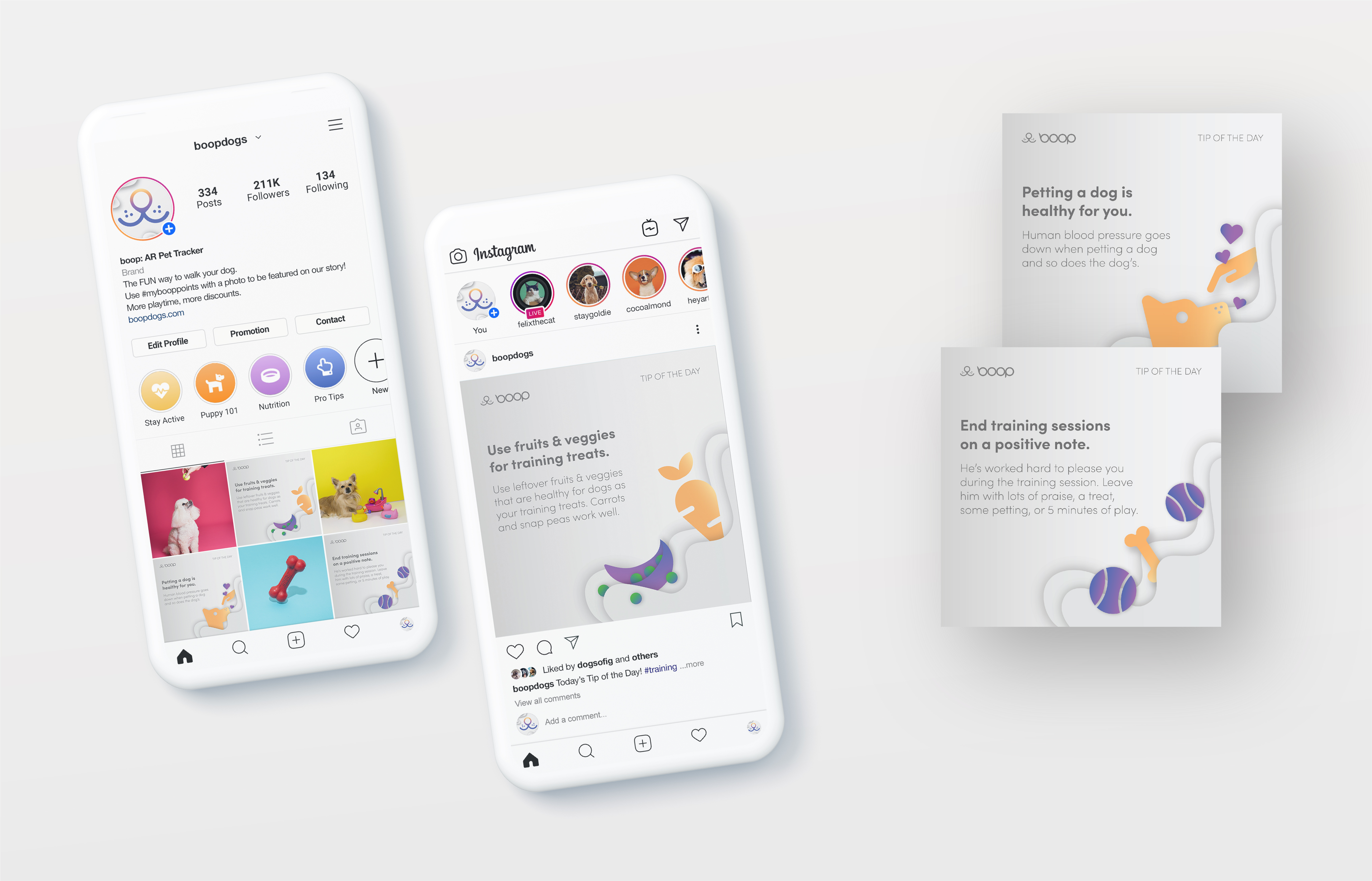 boop: AR Pet Tracker