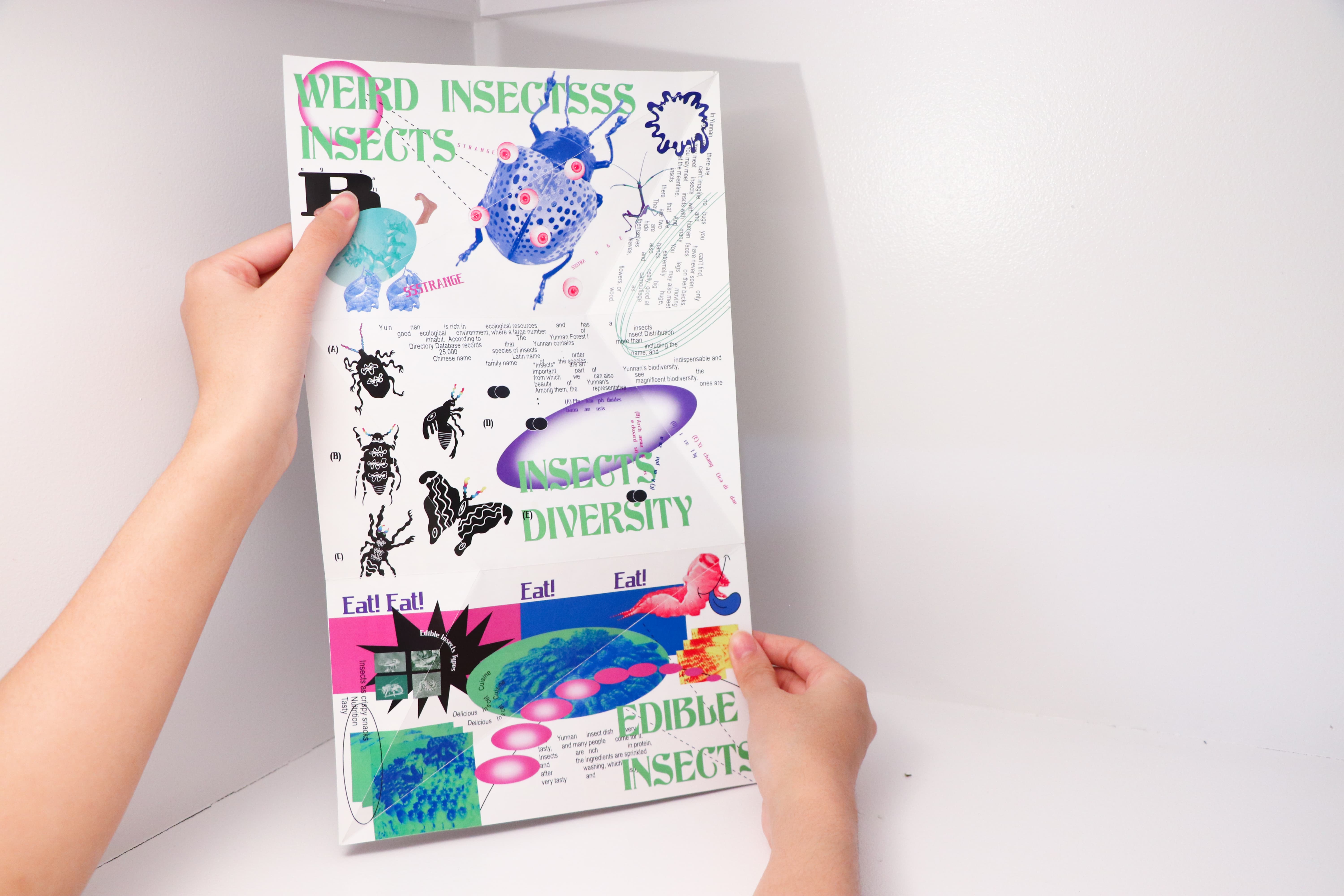 Yunnan Four Oddities