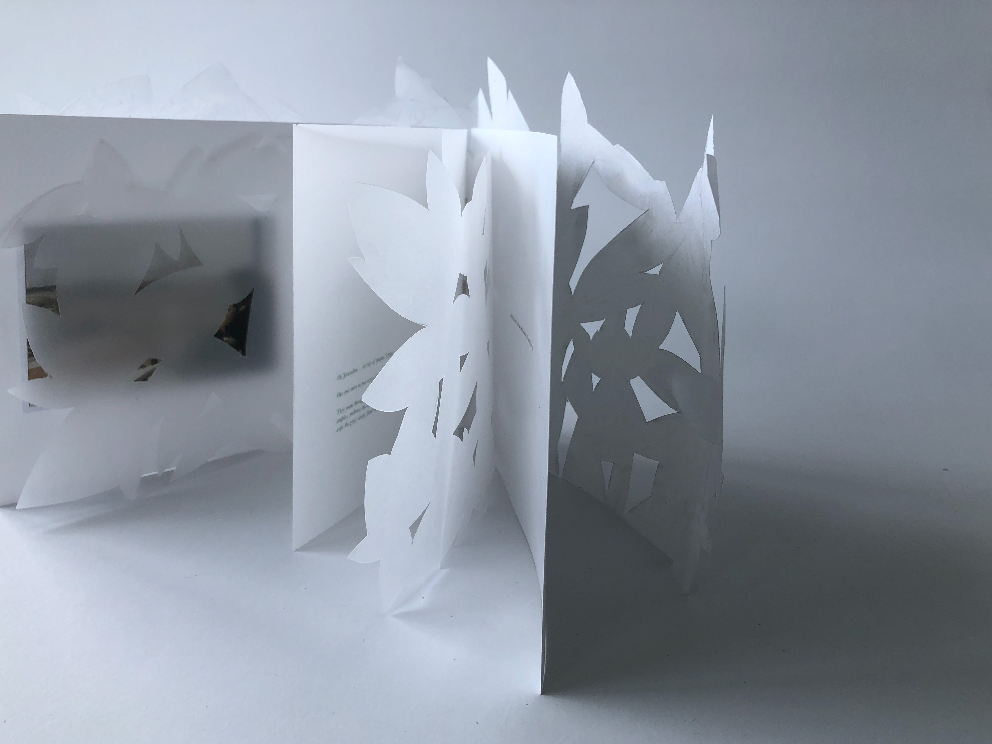 علَى هَذِهِ الأَرْض - On This Land: Publication