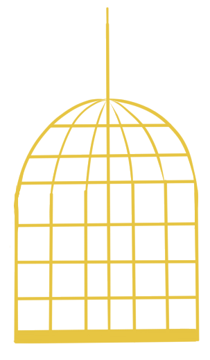 96. Fantasy Pet Shop - Assets