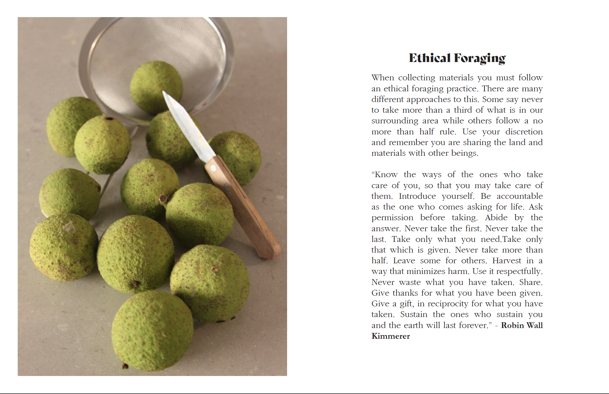 Distilling Nature Vol. 1