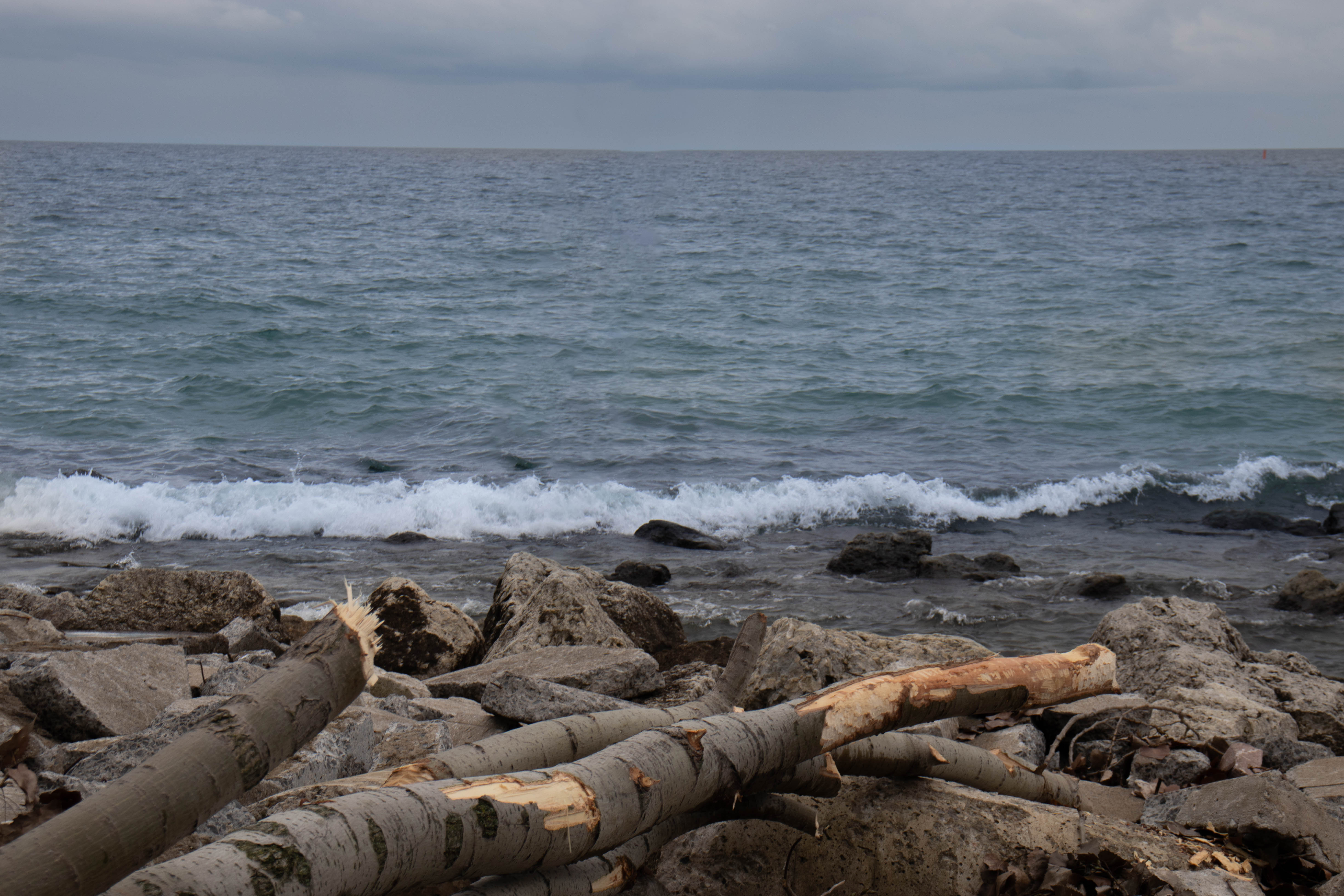 Toronto Island