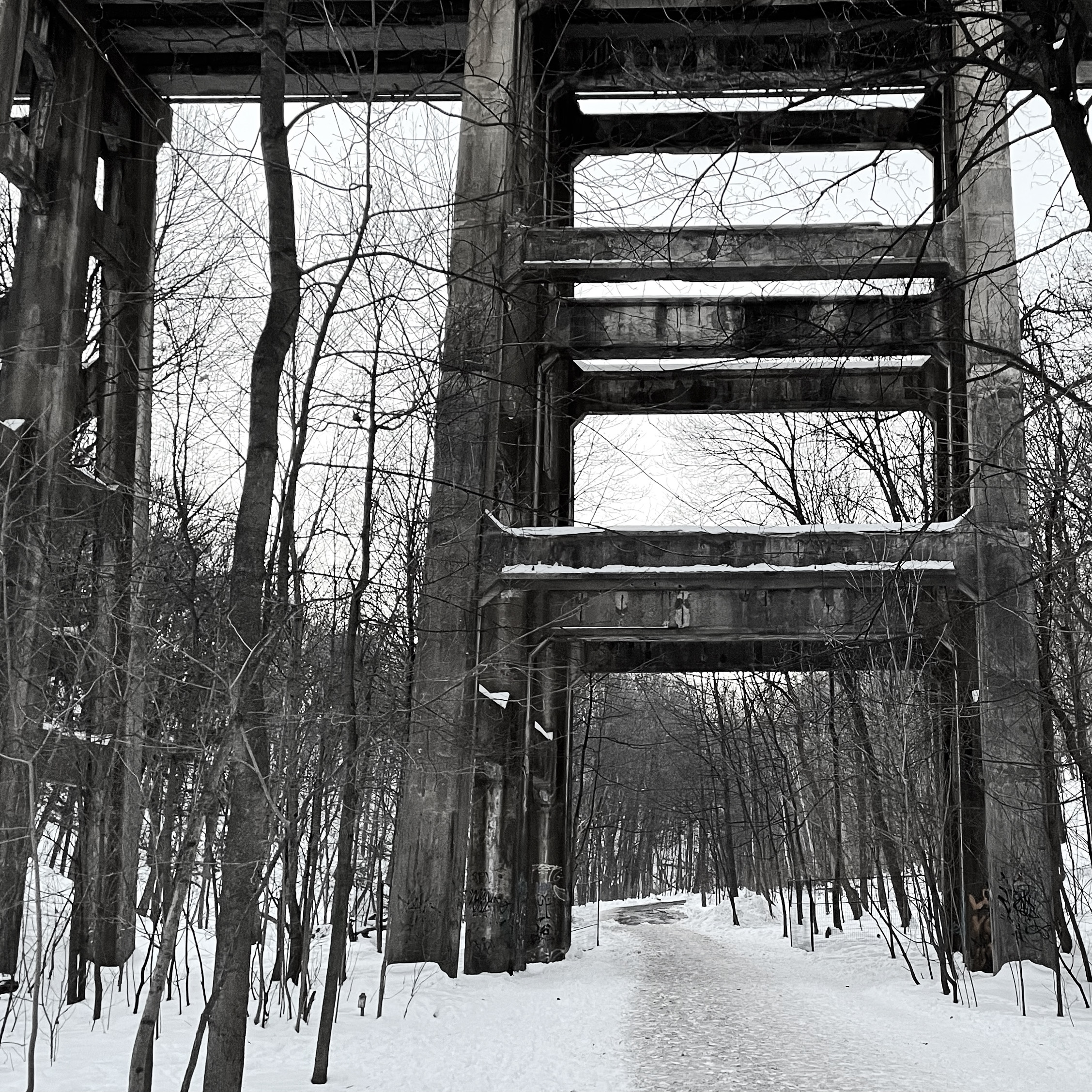 Shanwei’s Journal: A Flâneur in Toronto <4>