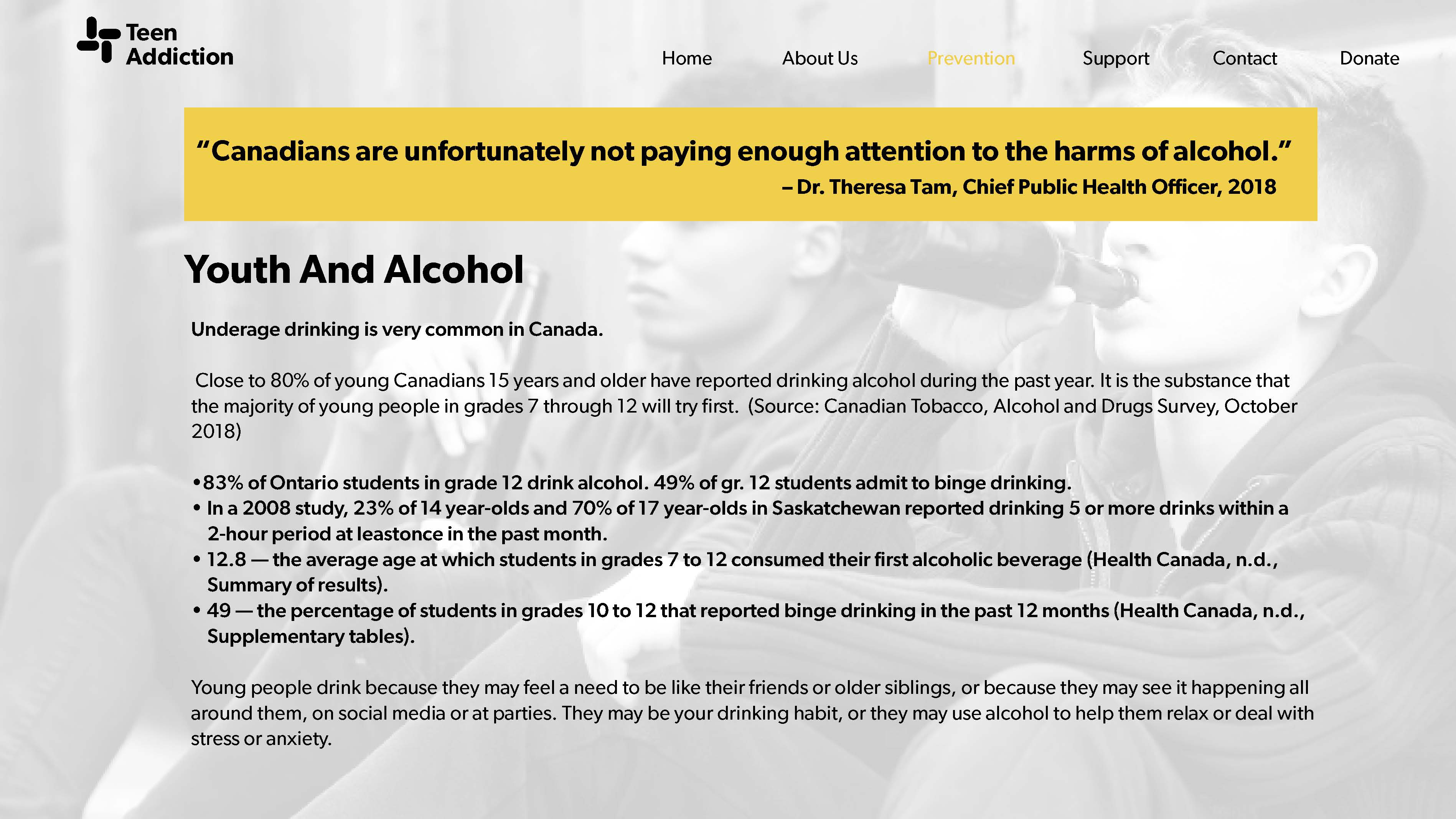 Teen Addiction Website