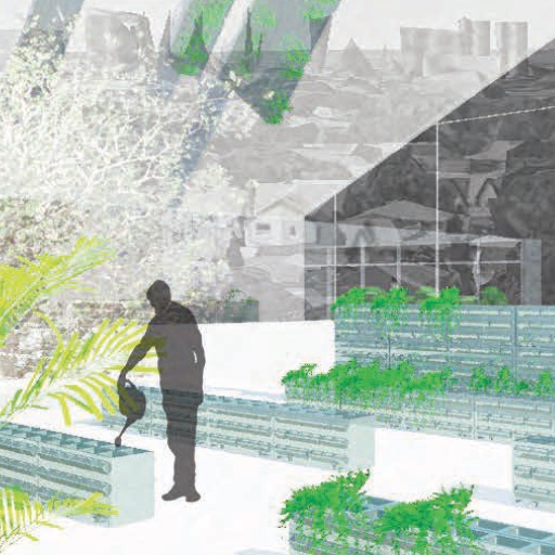 Scadding Court Garden Habitat: Grafting Spaces for Holistic Community Growth