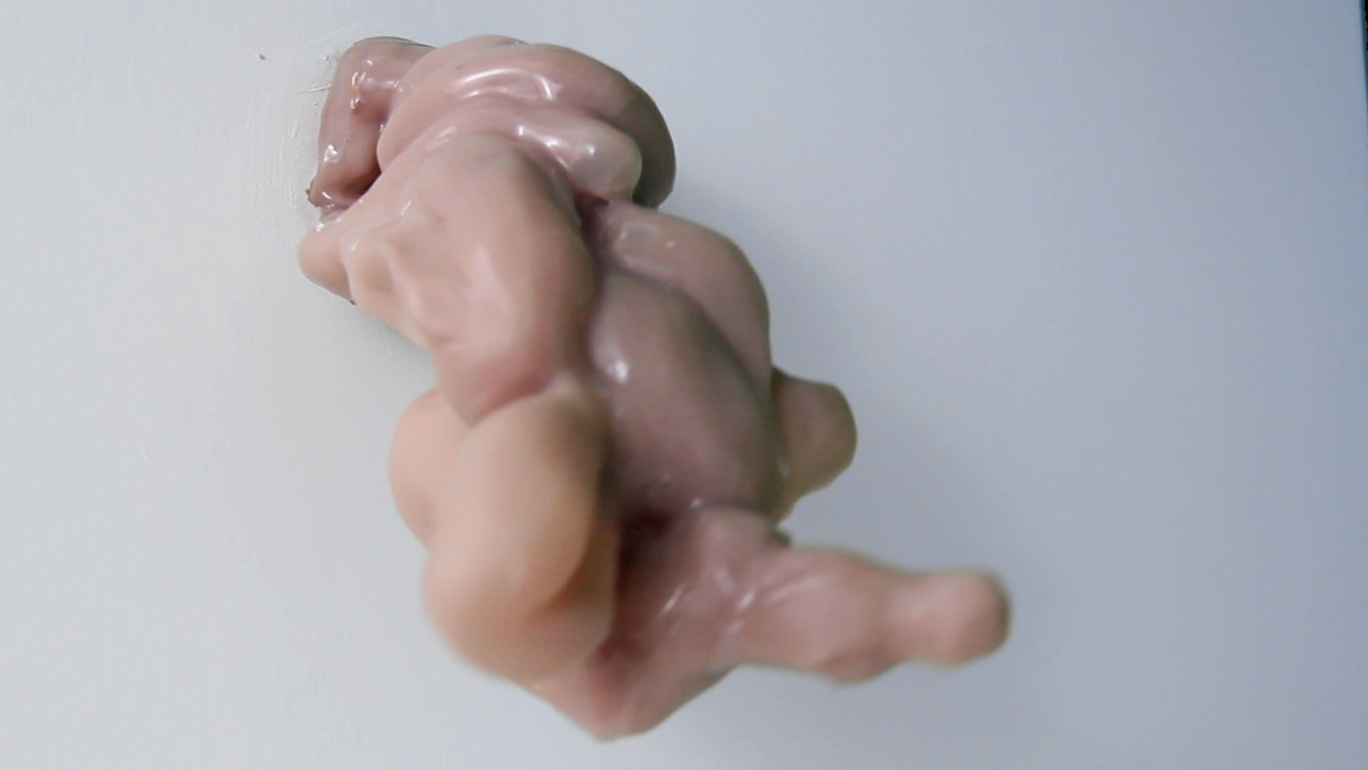 Documentation Images from "Any Part Can Be a Genesis" Installation & Art Objects