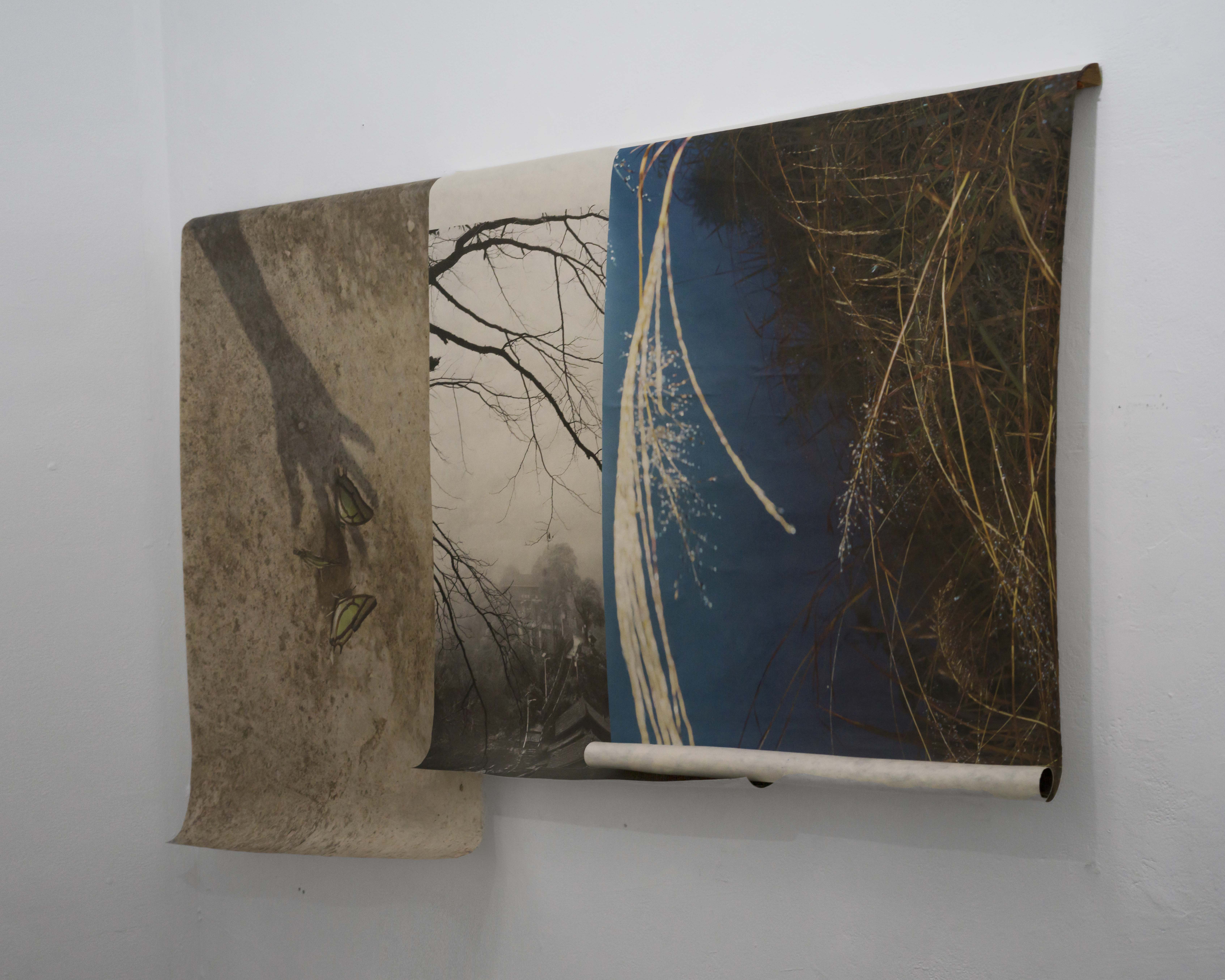 a river waiting for falling pears