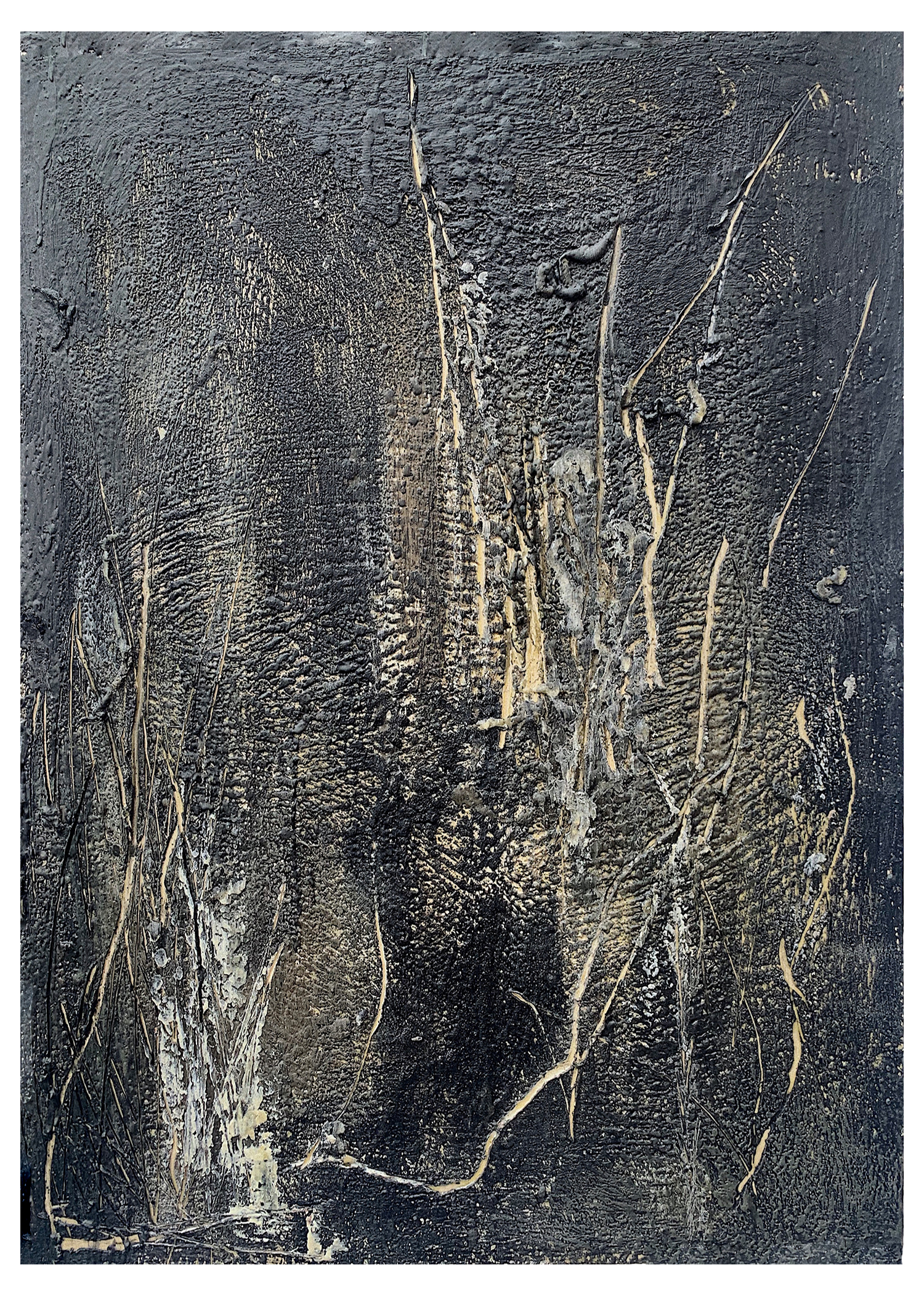 Where Limbs Play Tricks in the Moonlight