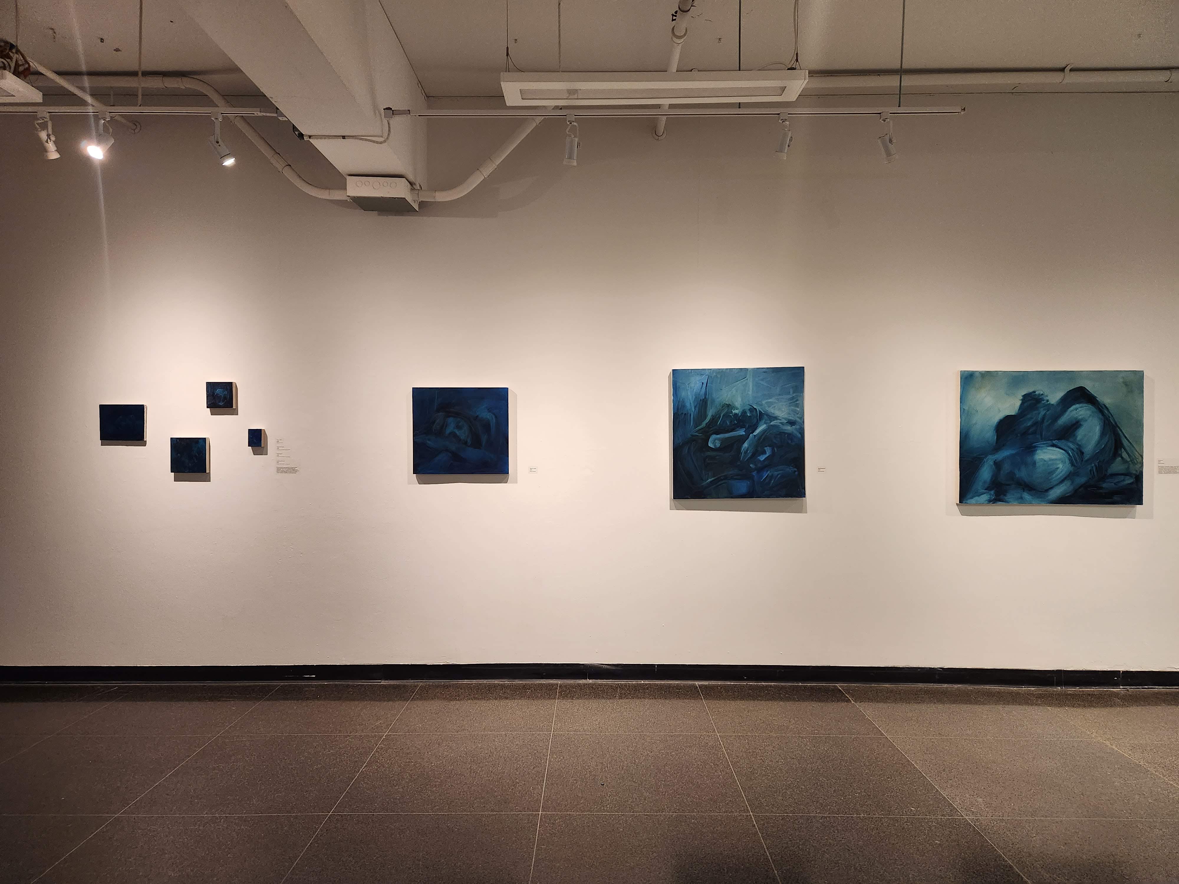 Anatomy of Blue Installation Shot