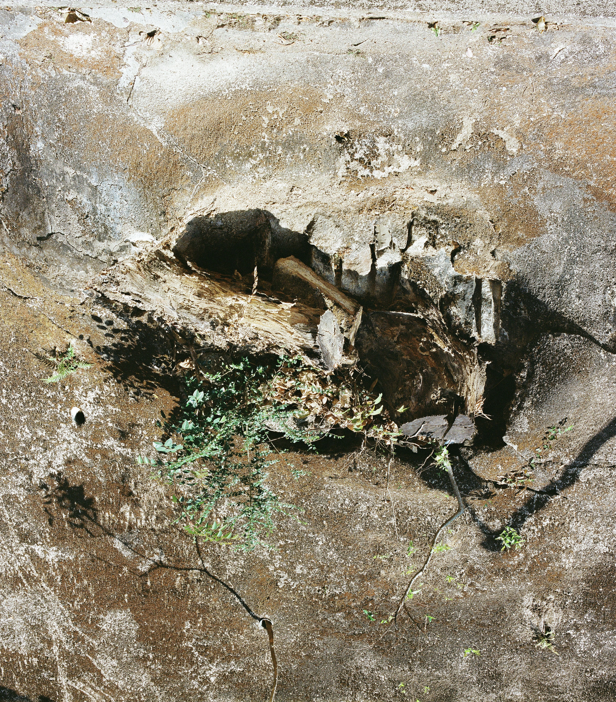 2.) Landscapes, Serenity