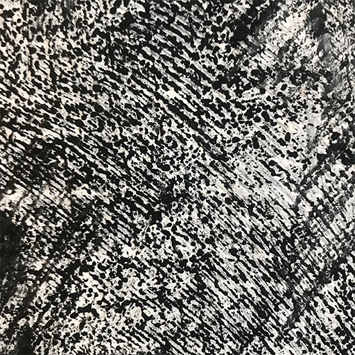 Fa'a Samoa Inspired Night Narrative