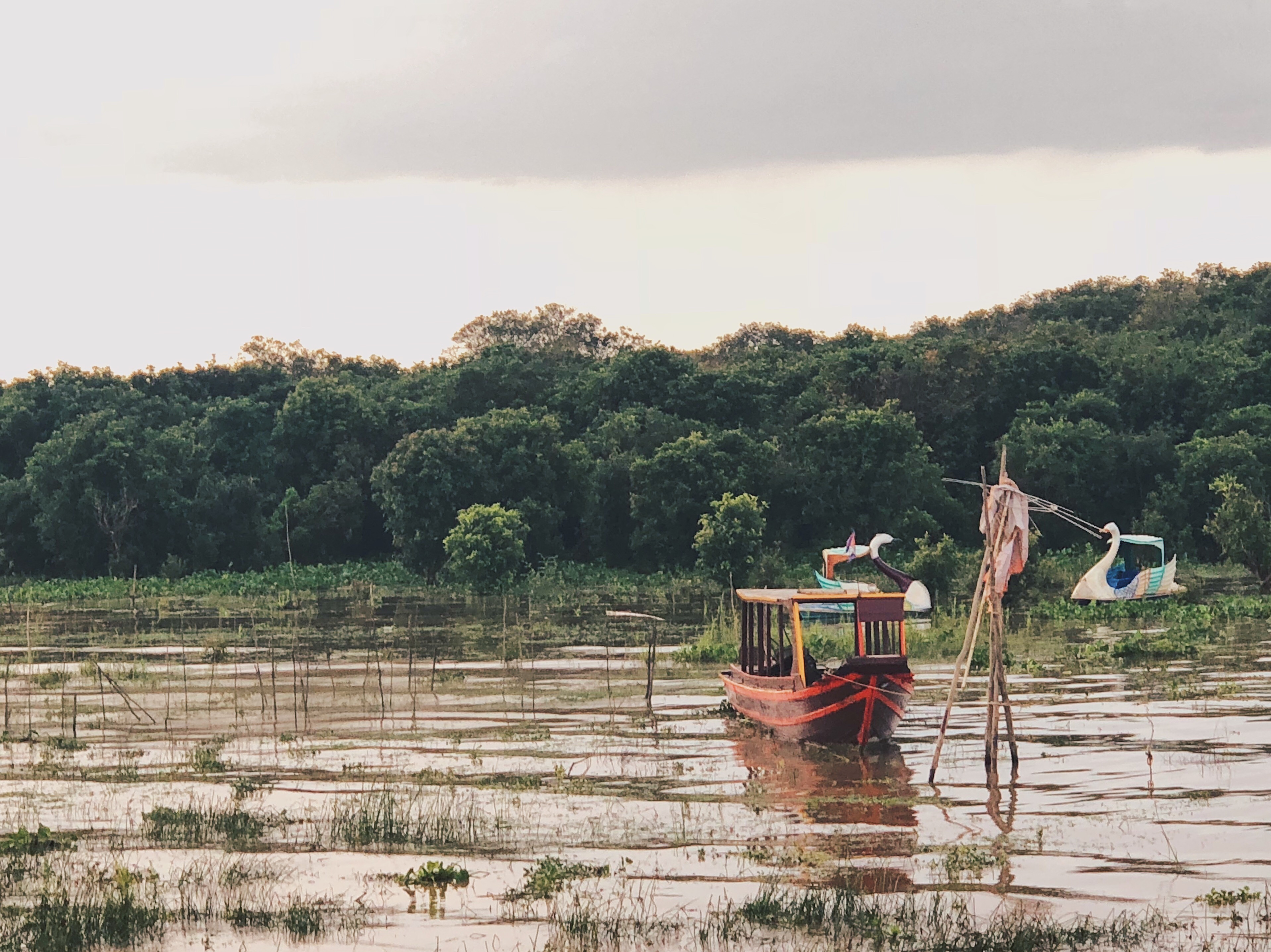 Photography and Observation