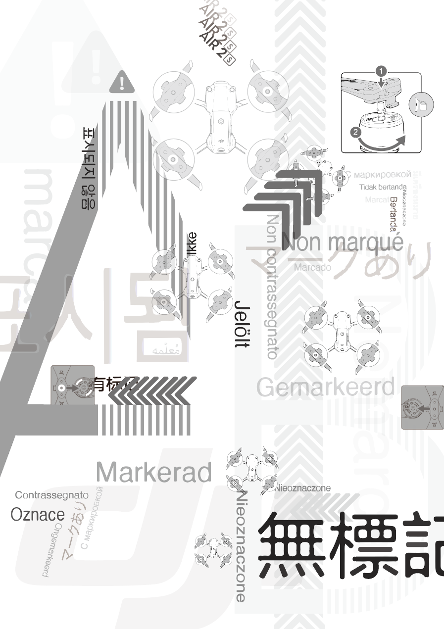 Reproducing Instruction