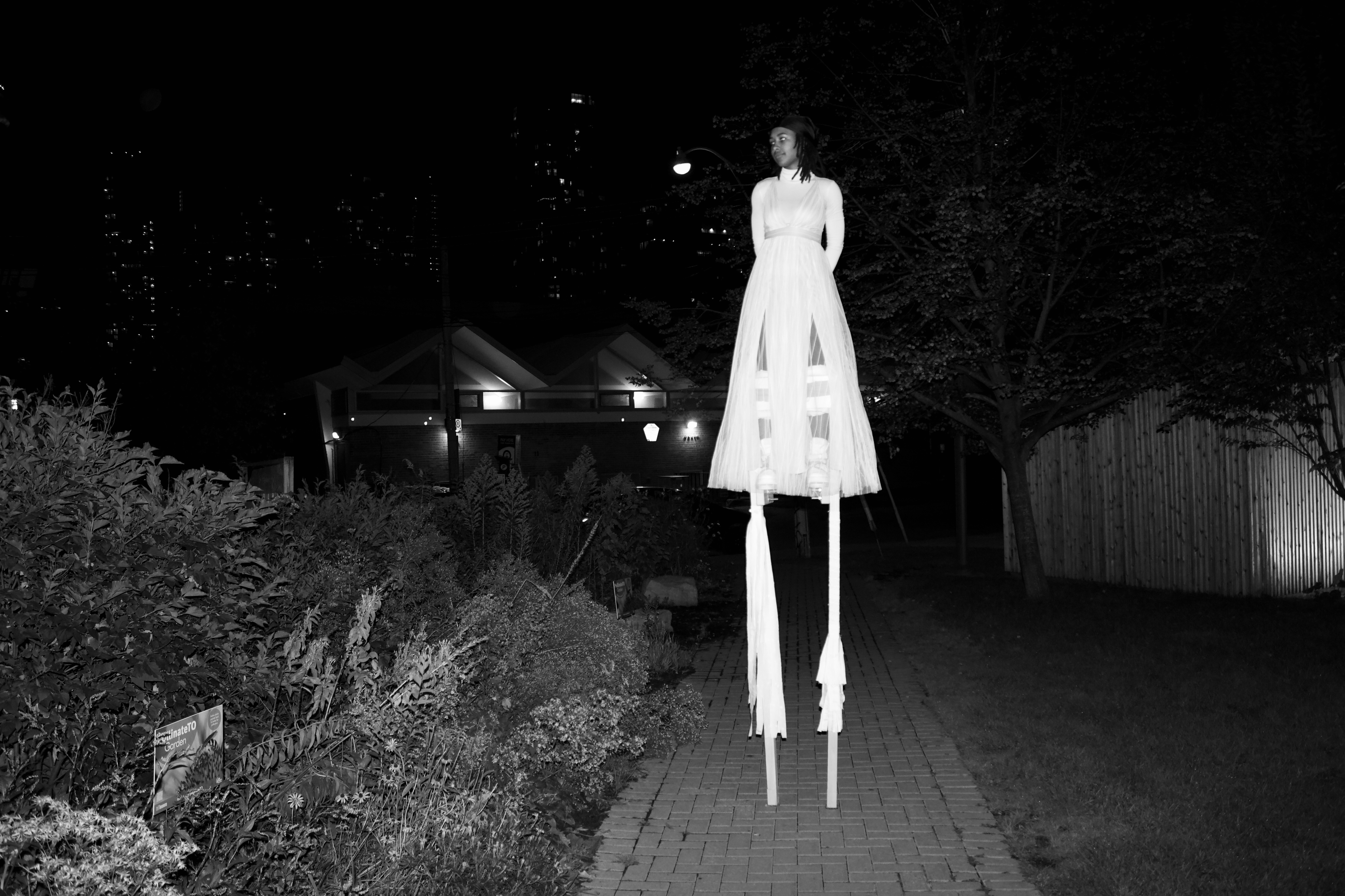 Moko Jumbie Under the Northern Starts