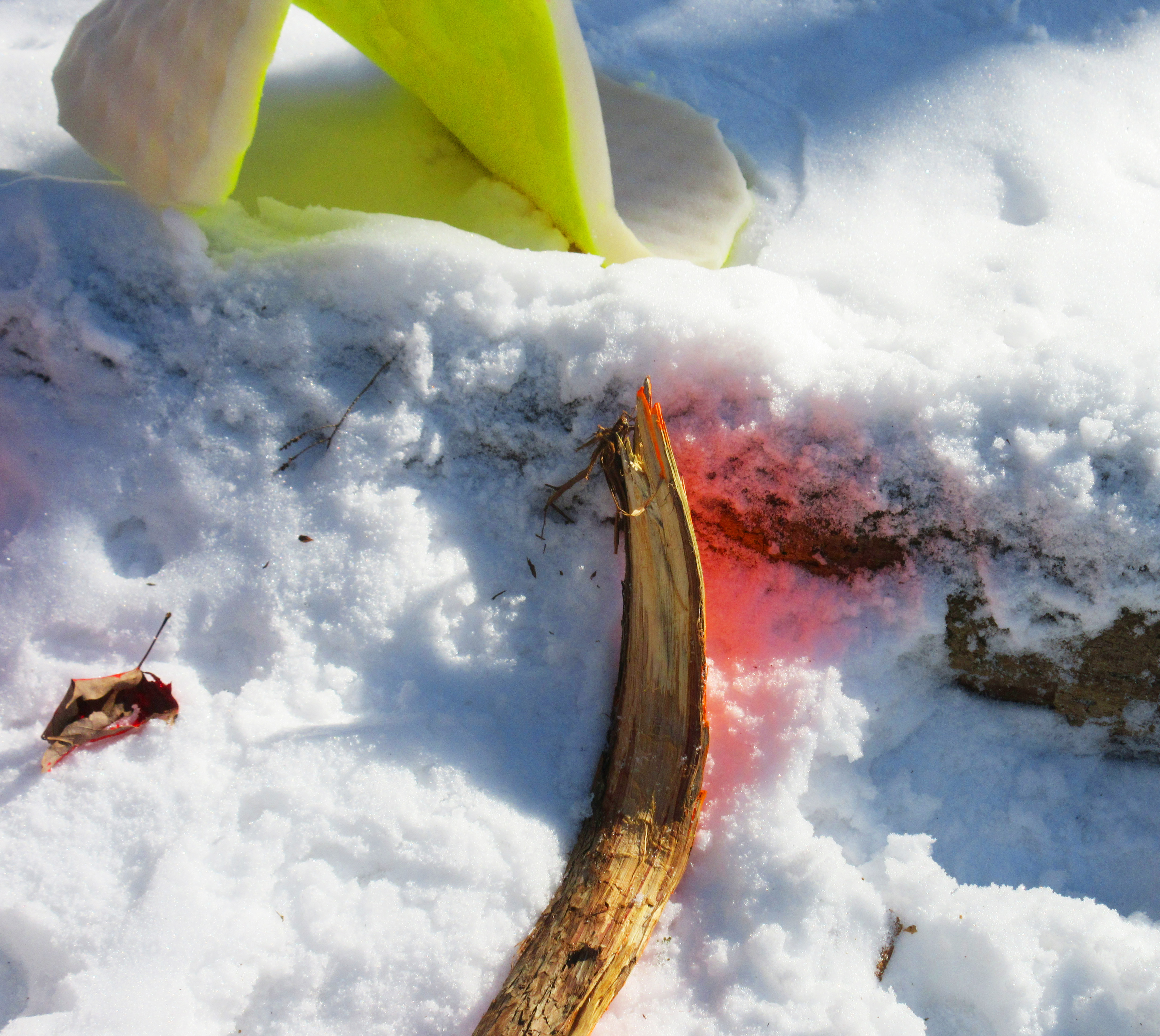 Competing with the Wind