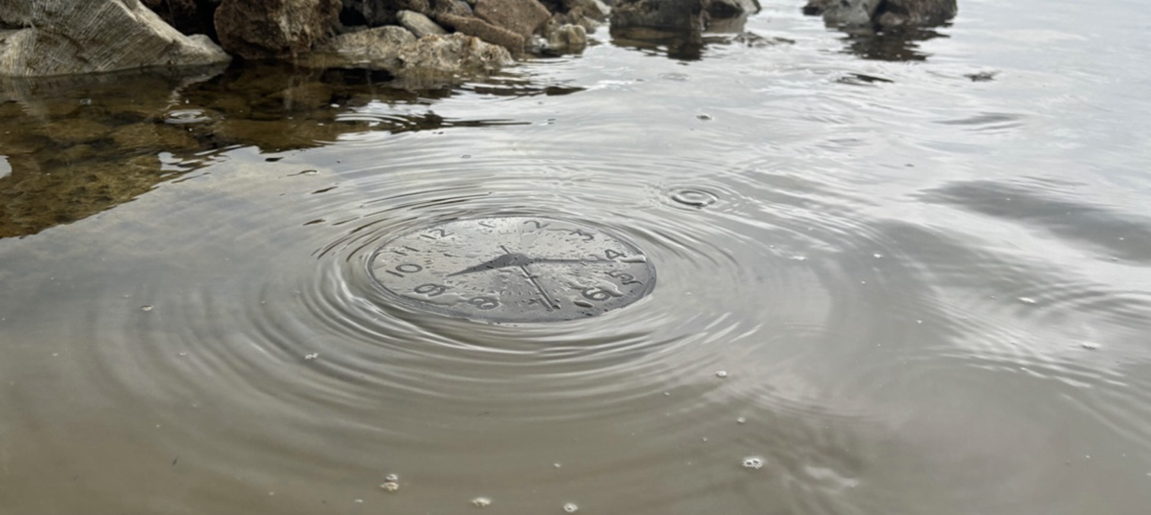 Temps riche, temps pauvre/Time Rich, Time Poor (2024)