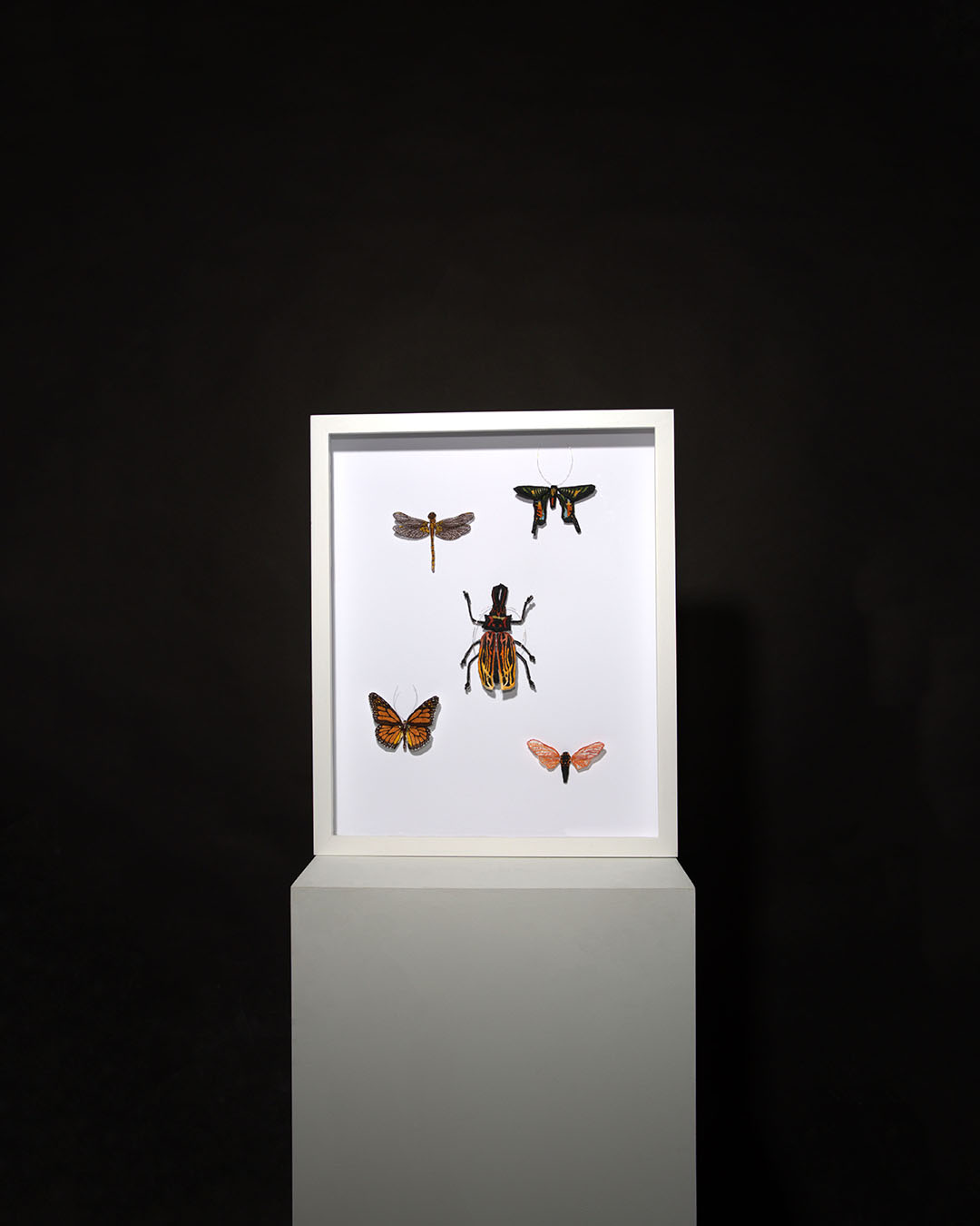 Threads of Life: A Tapestry of Endangered Insects