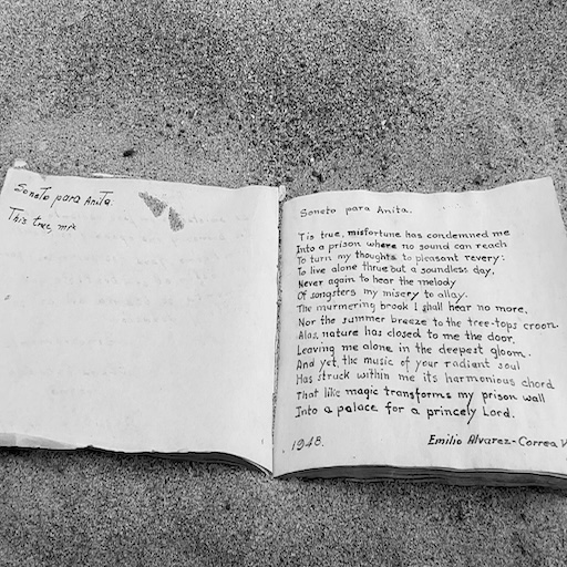 I, Me, Myself: Drying the Wet Sand, Nostalgia, and the “Sandy” City