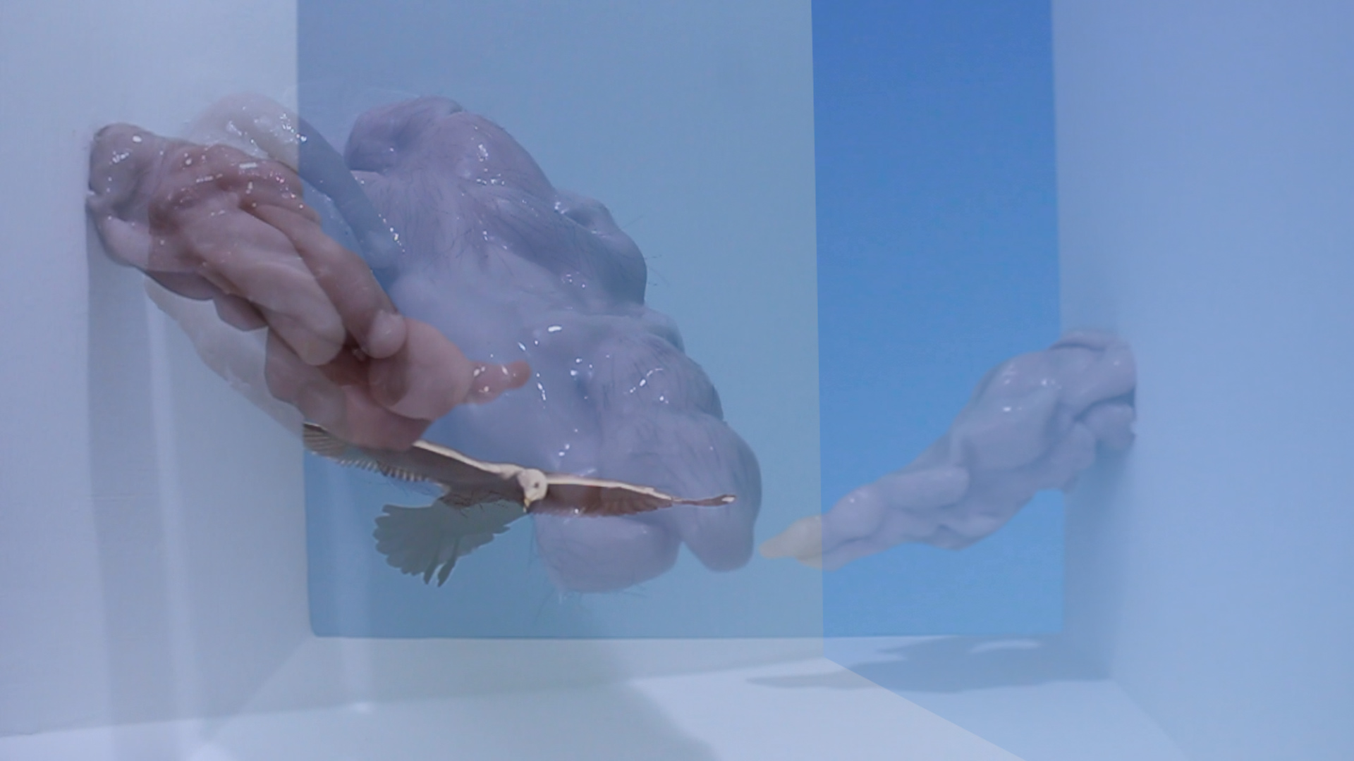 Still Images from "Of Love and Flight"