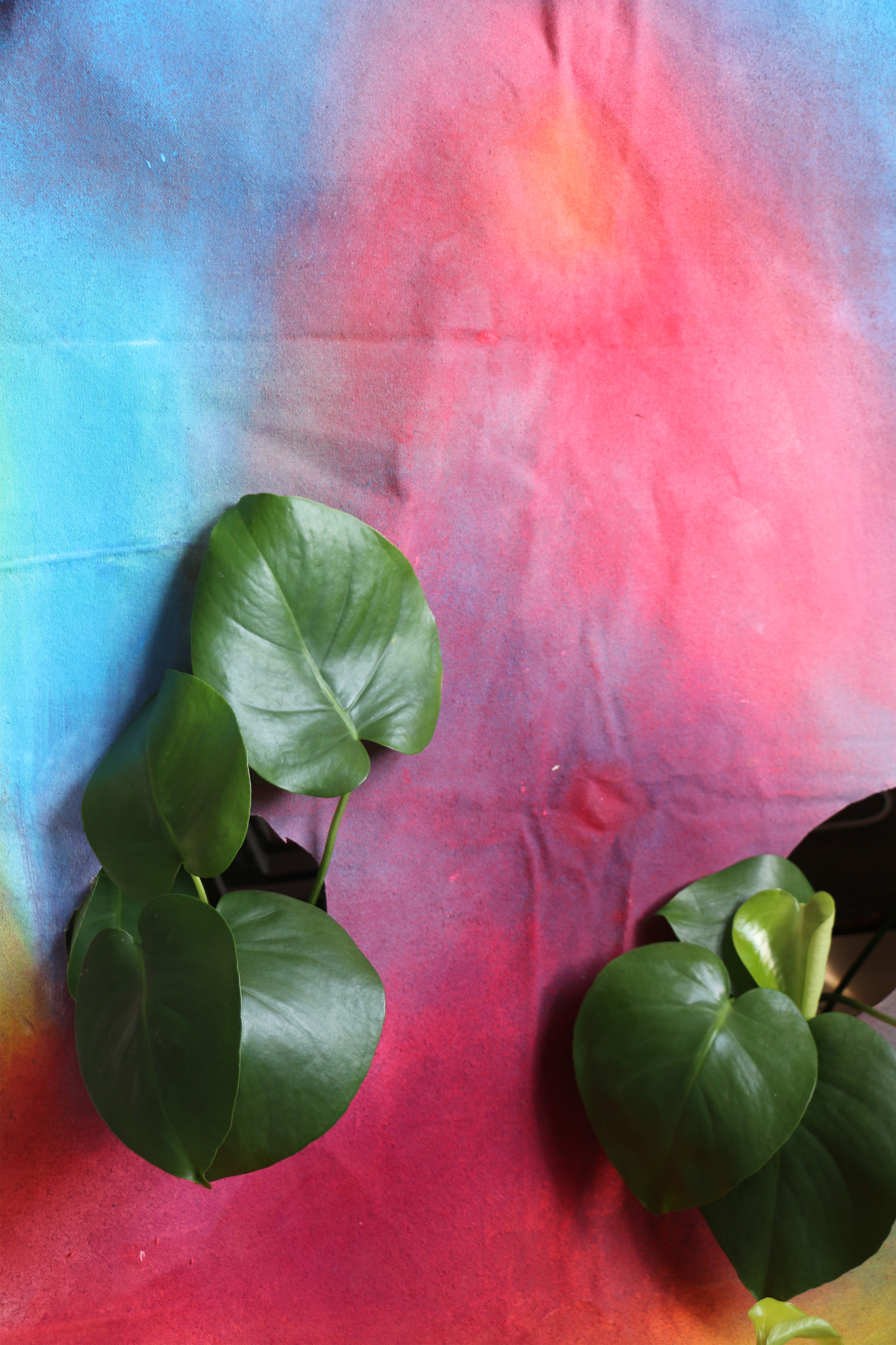 Sensoria: Becoming With