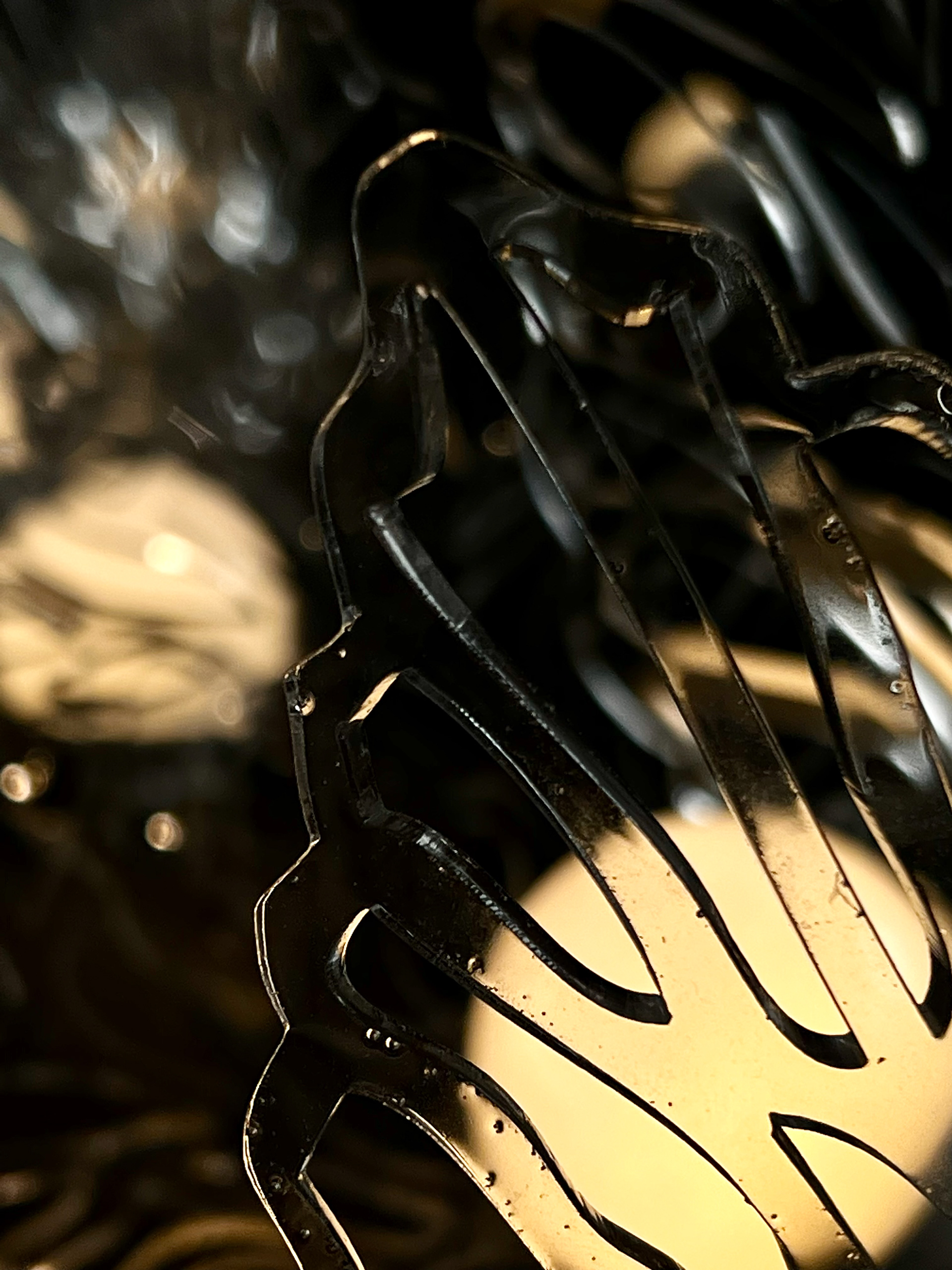 Amour En Cage (Love in Cage)