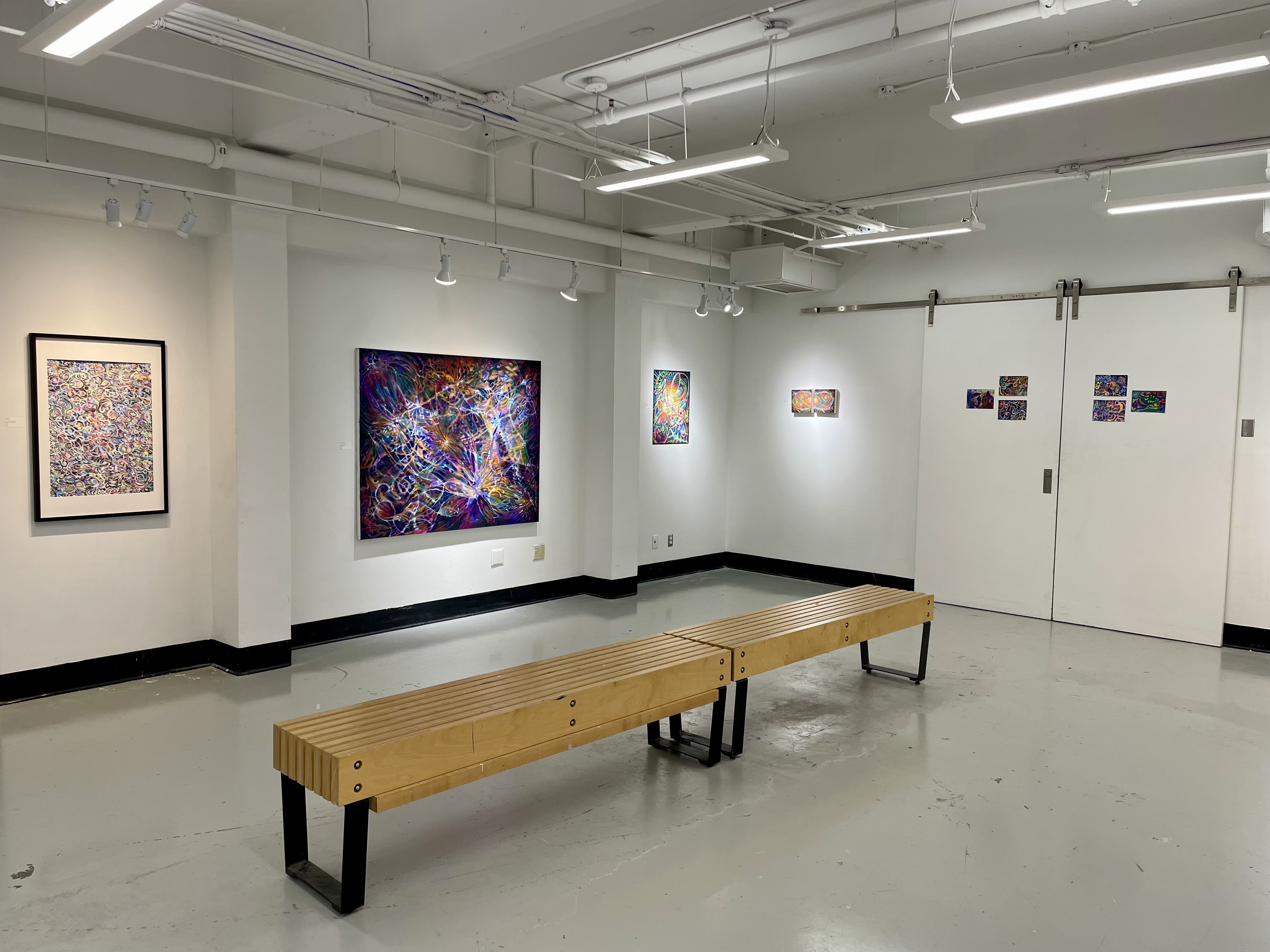Fruits in the Night, Installation View II