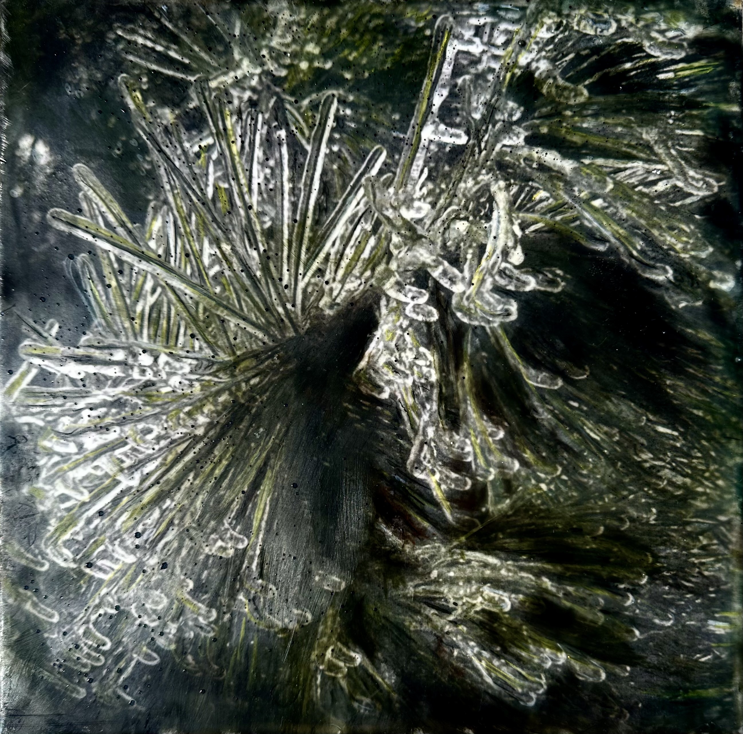 'Beauty in Frozen Devastation I'