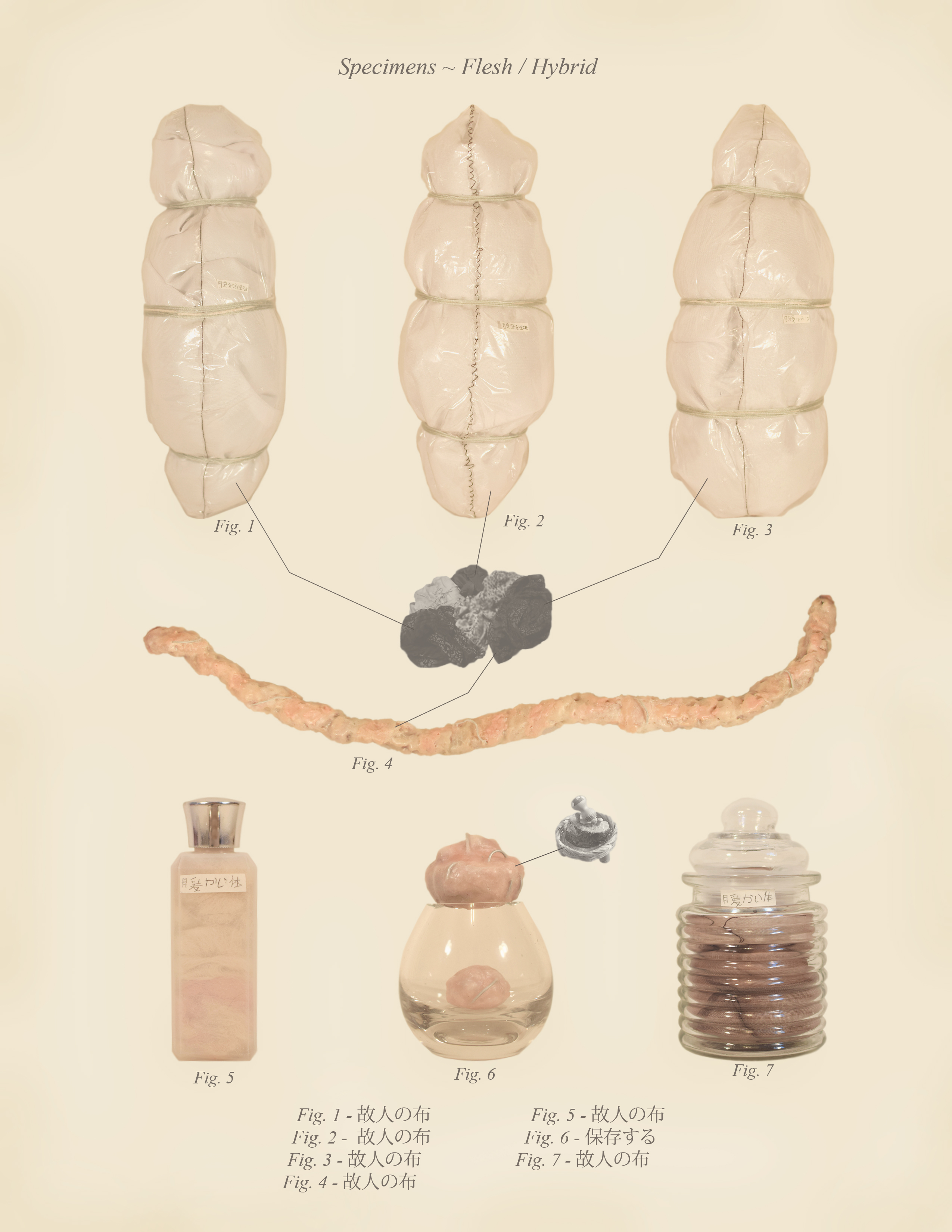 Specimens ~ Flesh / Hybrid